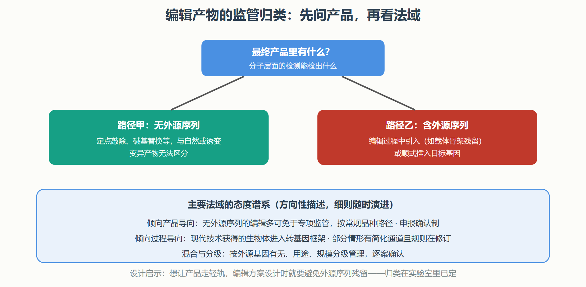 图:编辑产物的归类决策与法域差异