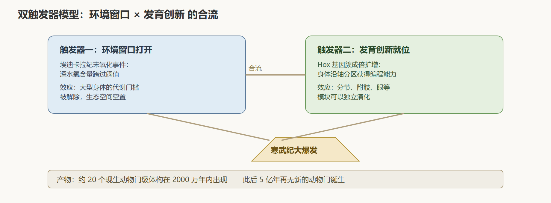 寒武纪大爆发的双触发与级联放大