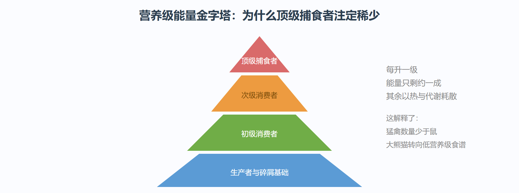 图：营养级之间的能量递减