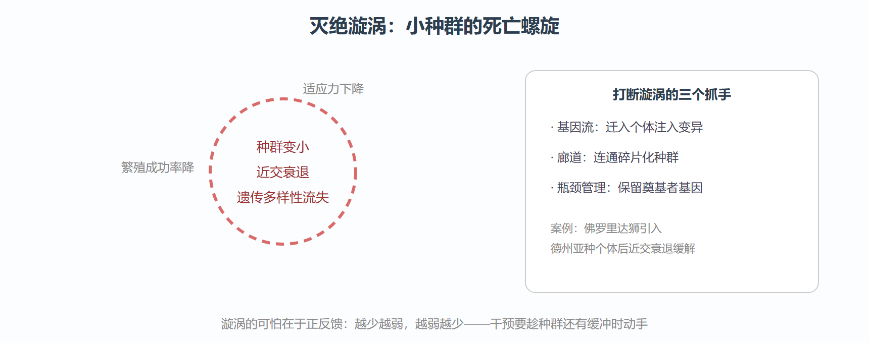 图：小种群走向灭绝的正反馈循环