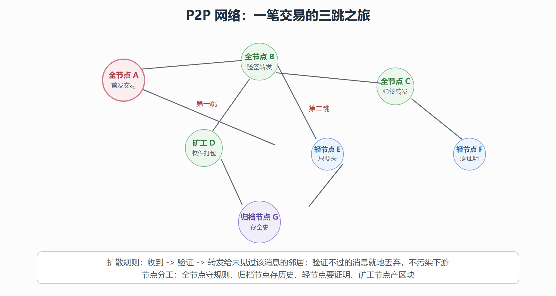 图 3-3 P2P 网络拓扑：泛洪扩散与节点分工