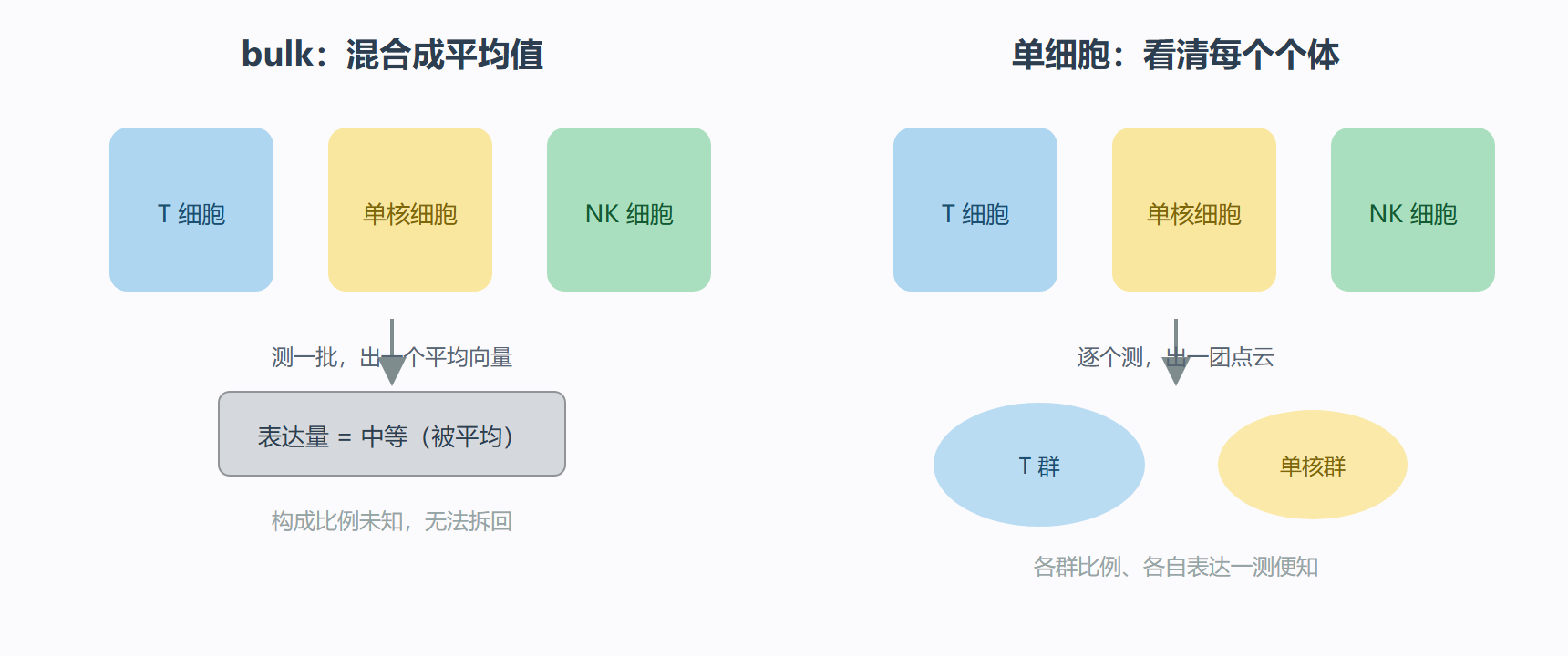 图：bulk 平均与单细胞分辨的对比
