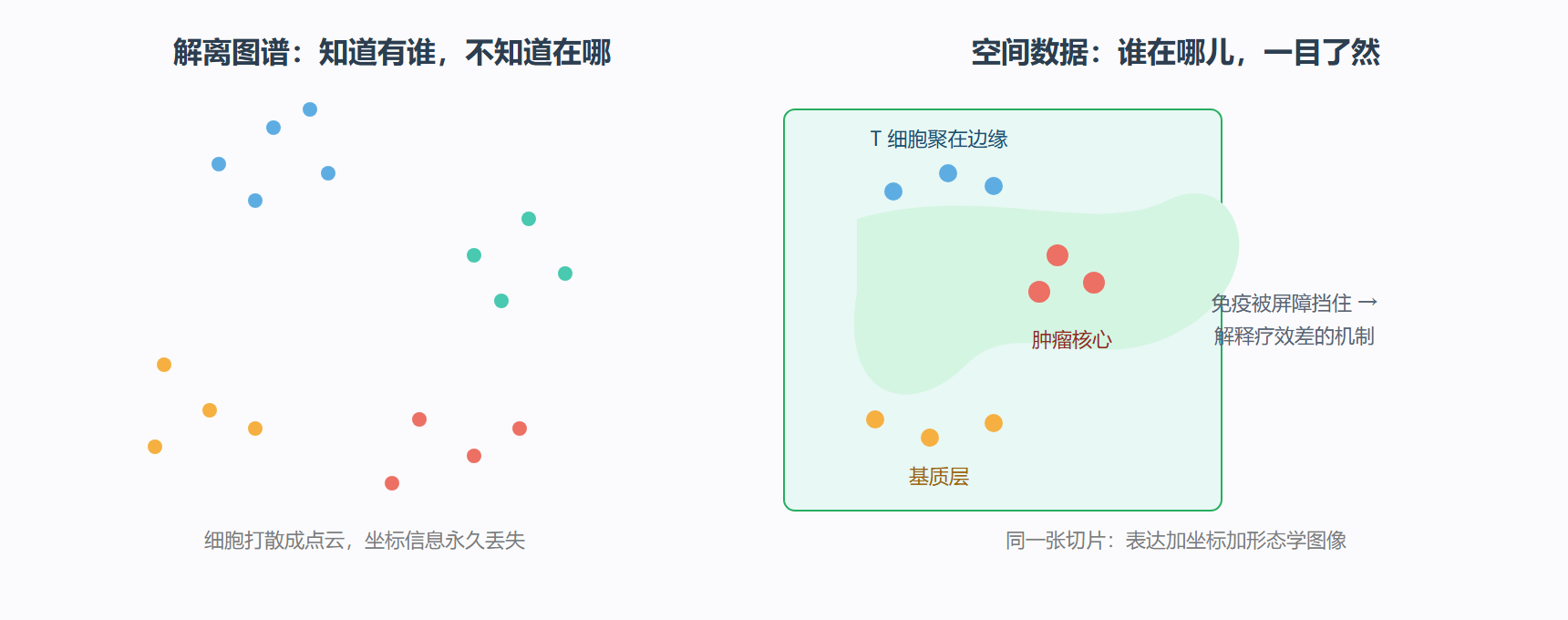 图:解离数据与空间数据的互补