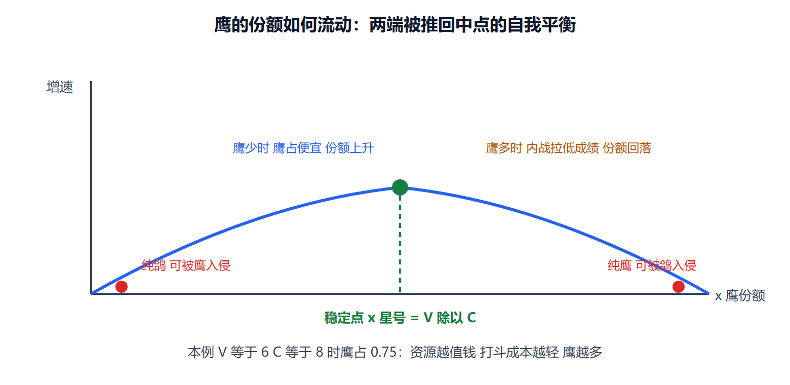 图 6-2：鹰鸽份额的复制动态相图