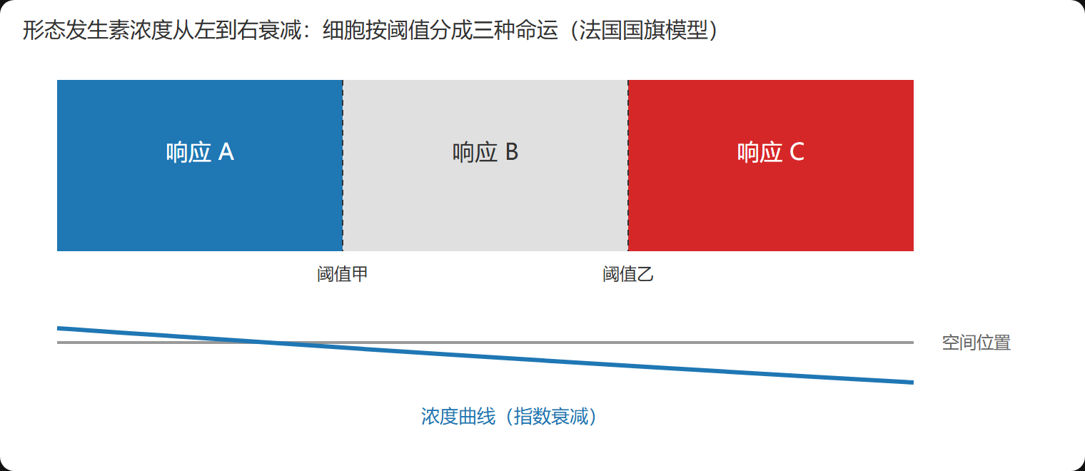 一、梯度如何当好一把尺子：法国国旗模型的来龙去脉