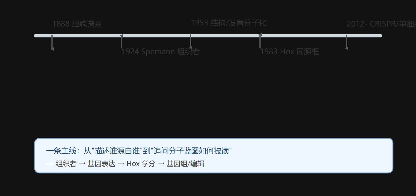 图 1-3 发育生物学关键里程碑时间线