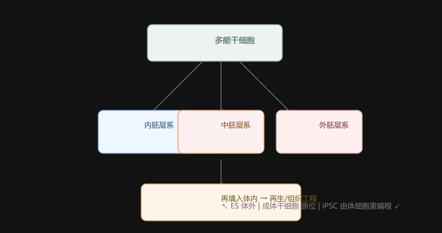 图 5-1 多能性来源:ES / 成体 / 重编程 iPSC