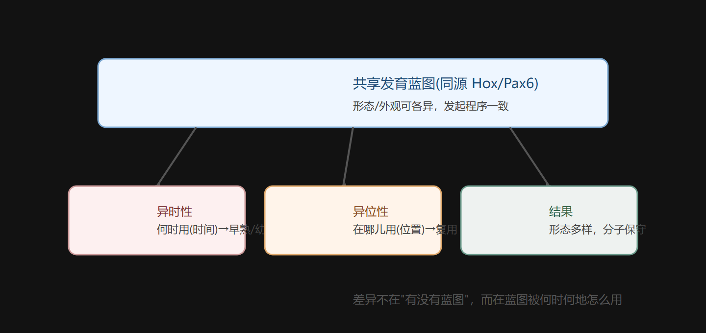 图 7-1 三支柱同一表:蓝图在哪用、何时用、用在哪