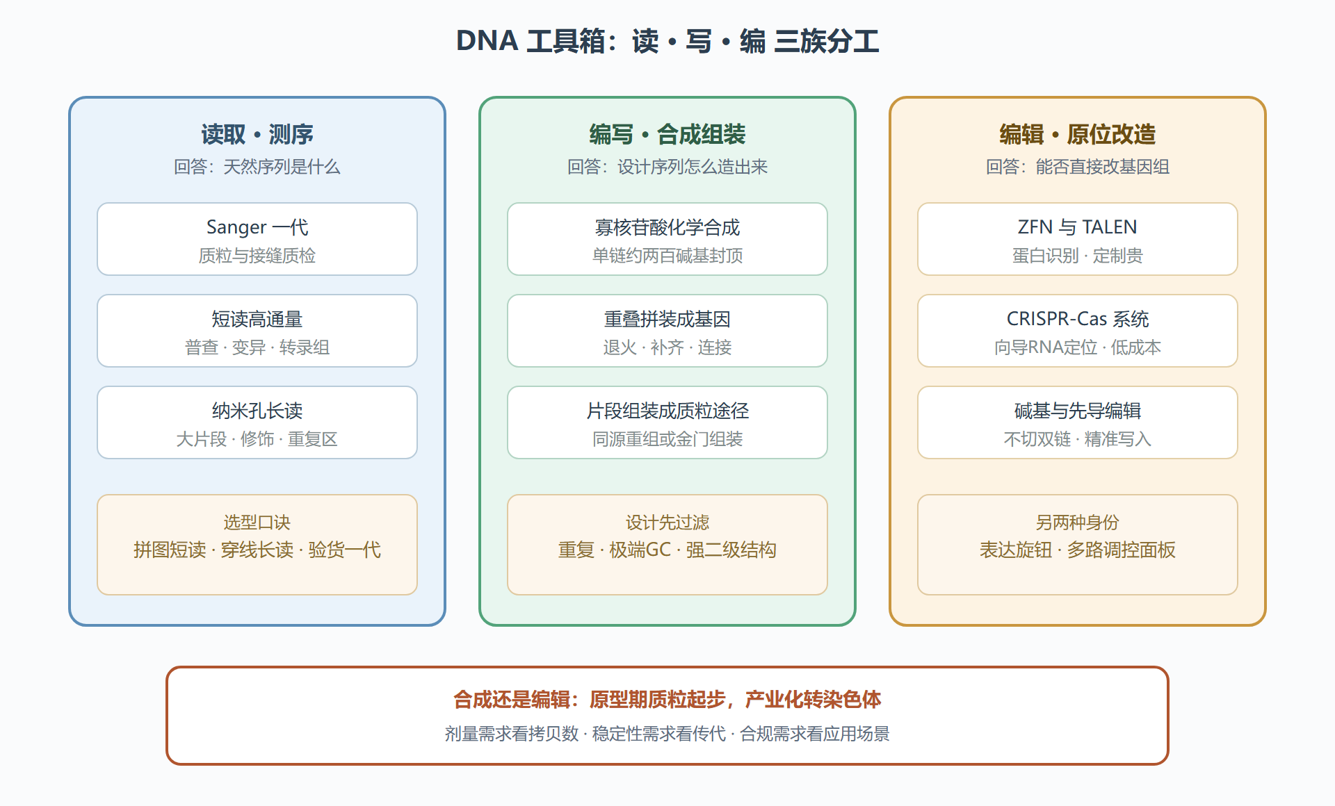 图 4　读、写、编三族工具的分工与选型地图