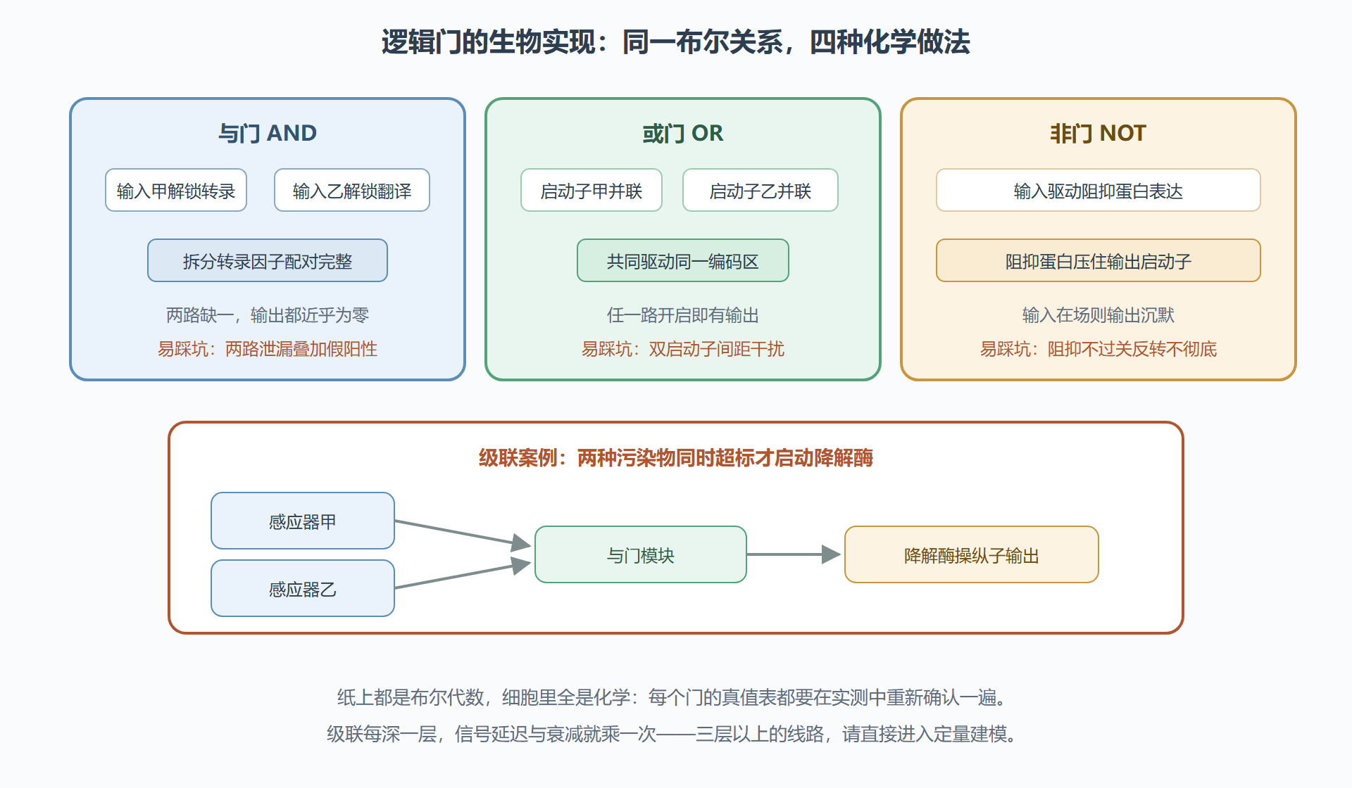 图 7 布尔逻辑门与生物实现的对应关系