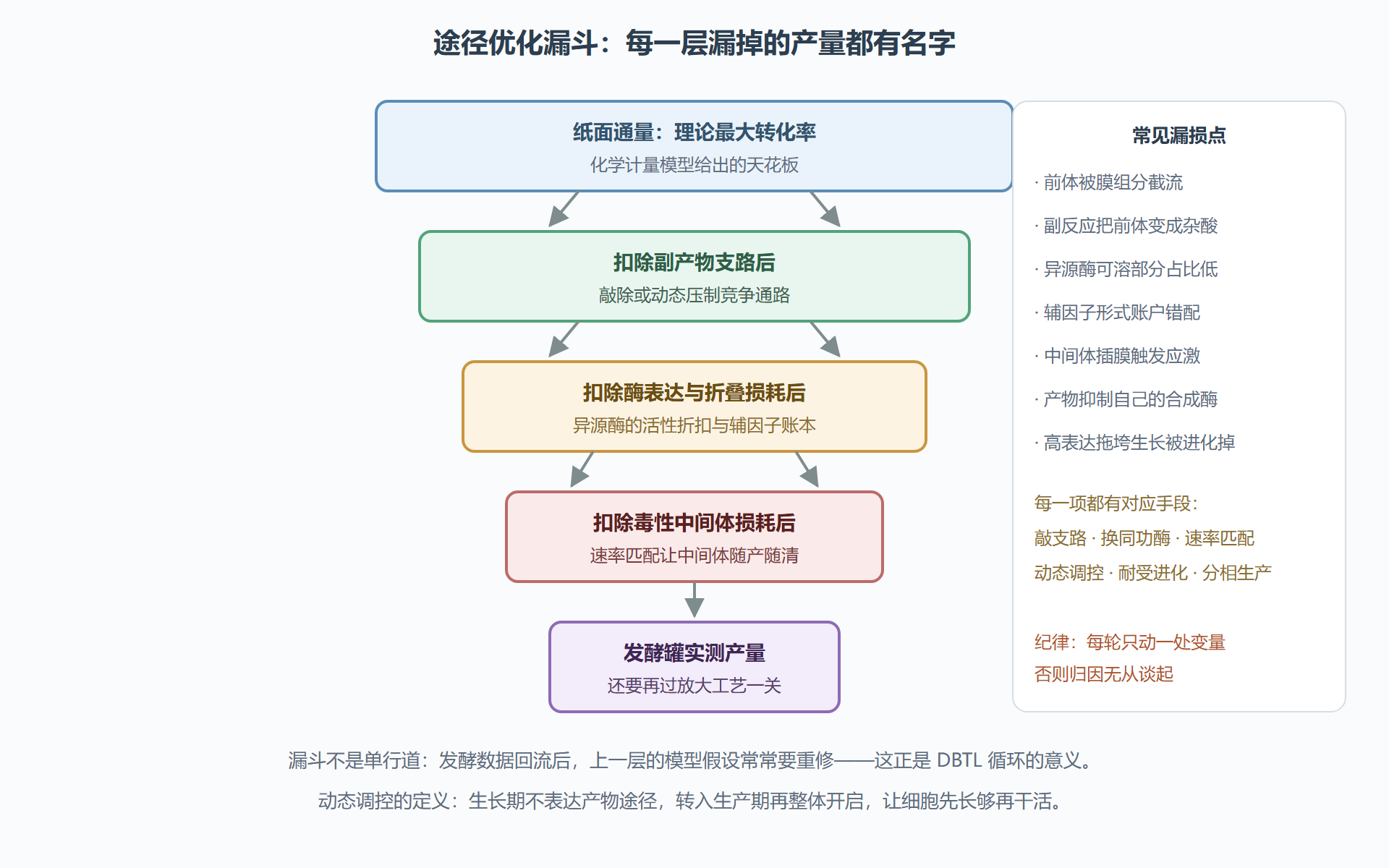 图 8　途径优化的漏斗：从纸面通量到发酵罐产量