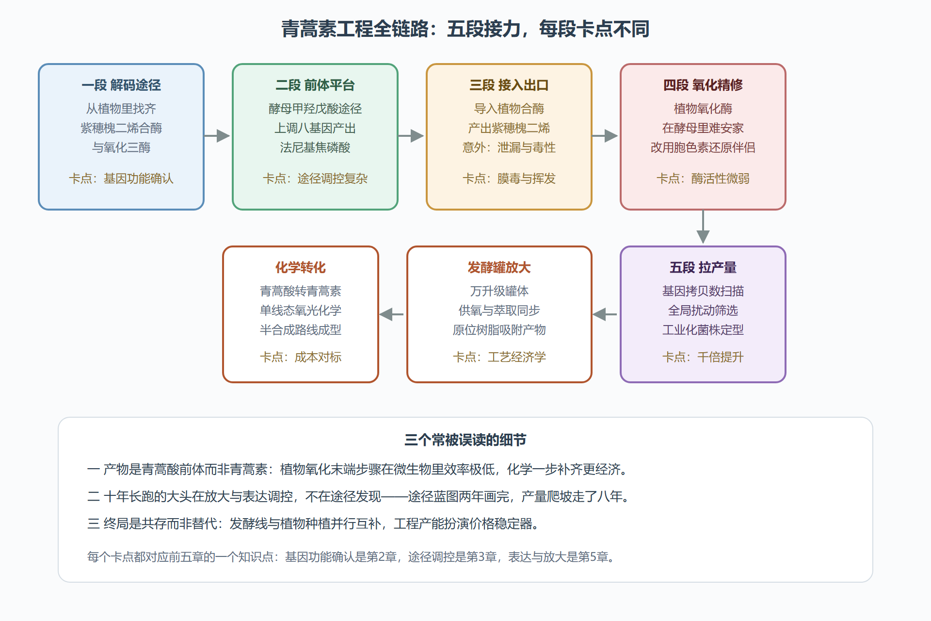 图 13　青蒿素工程全链路：从基因到发酵罐的五段接力