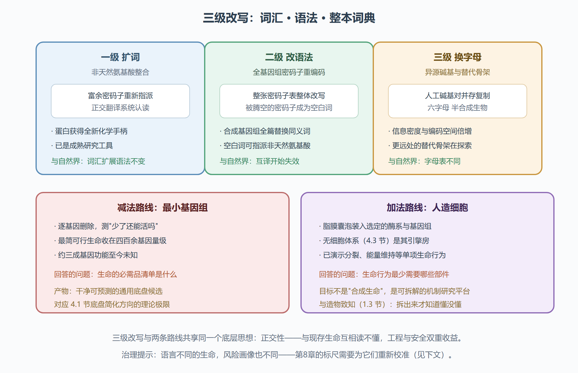 图 18 从天然到正交:生命语言的三级改写