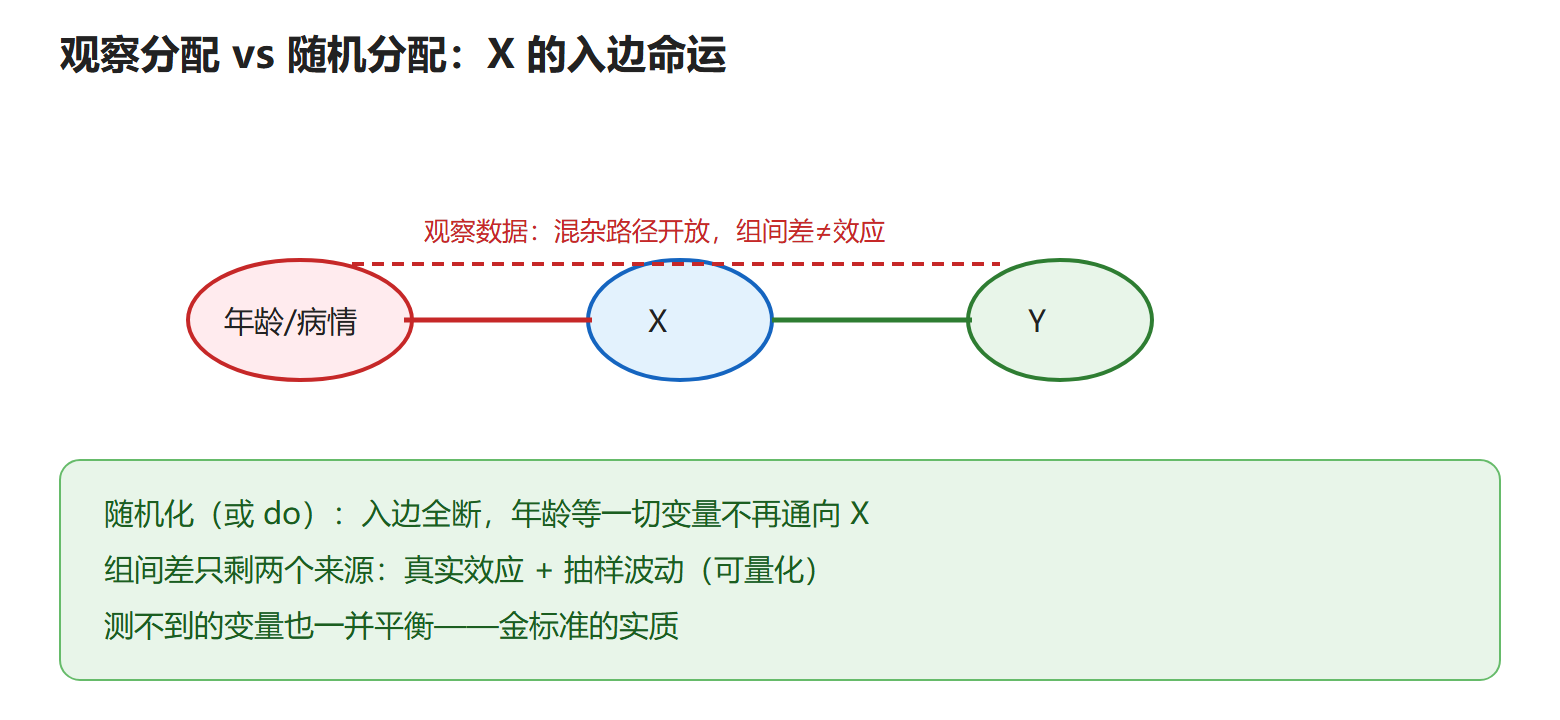 图:随机化的图手术解释