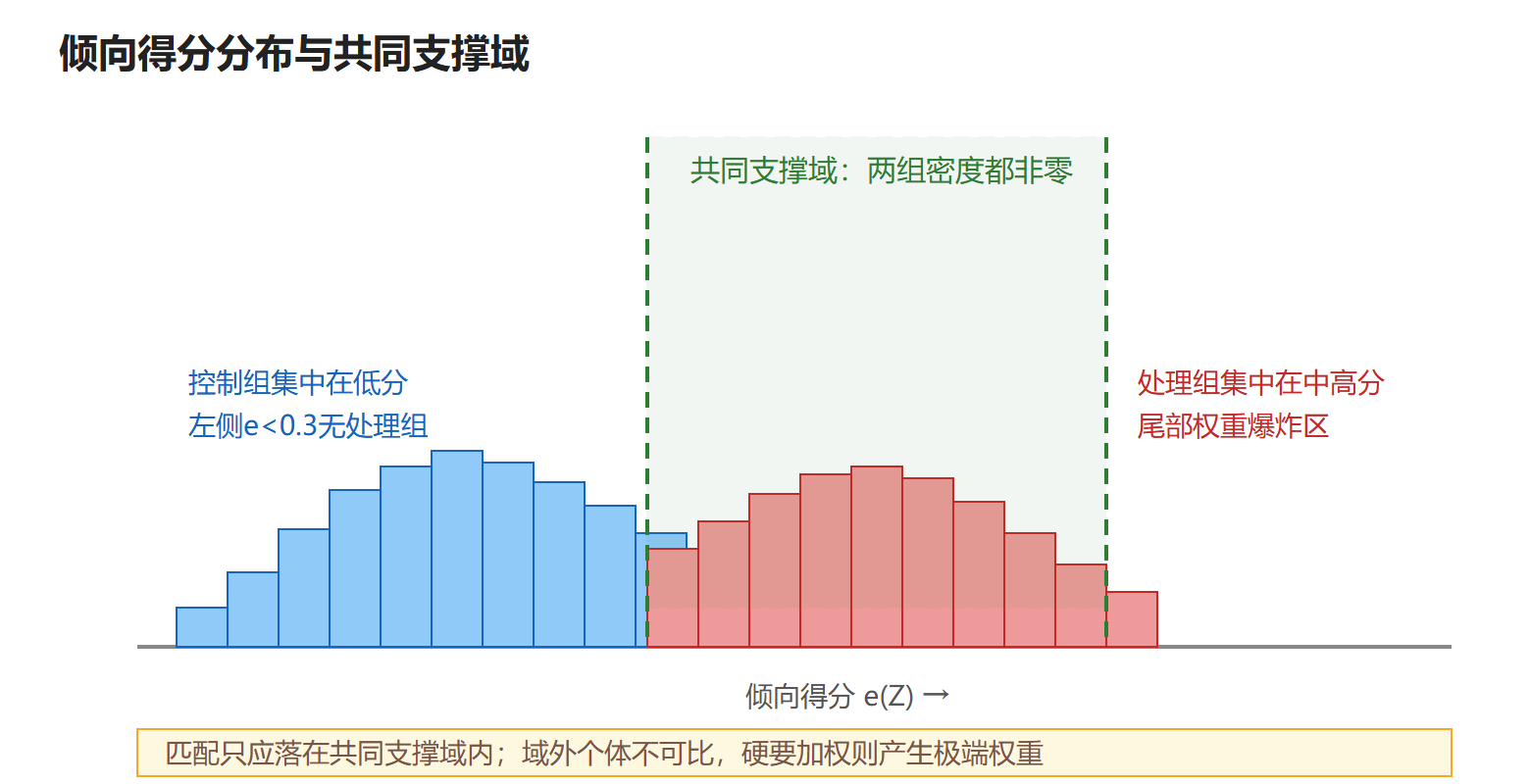 图:共同支撑域与匹配示意