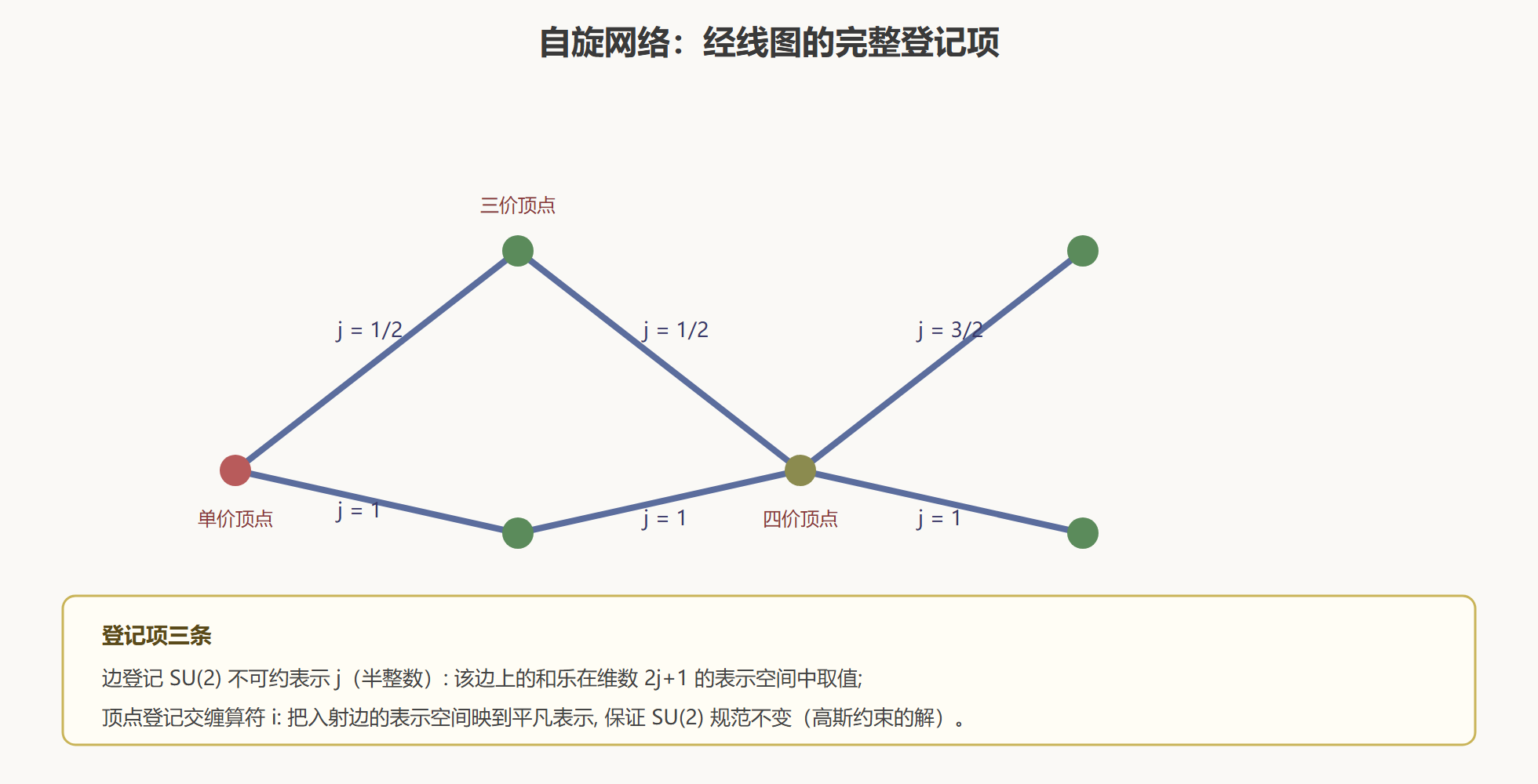 图：自旋网络的解剖图