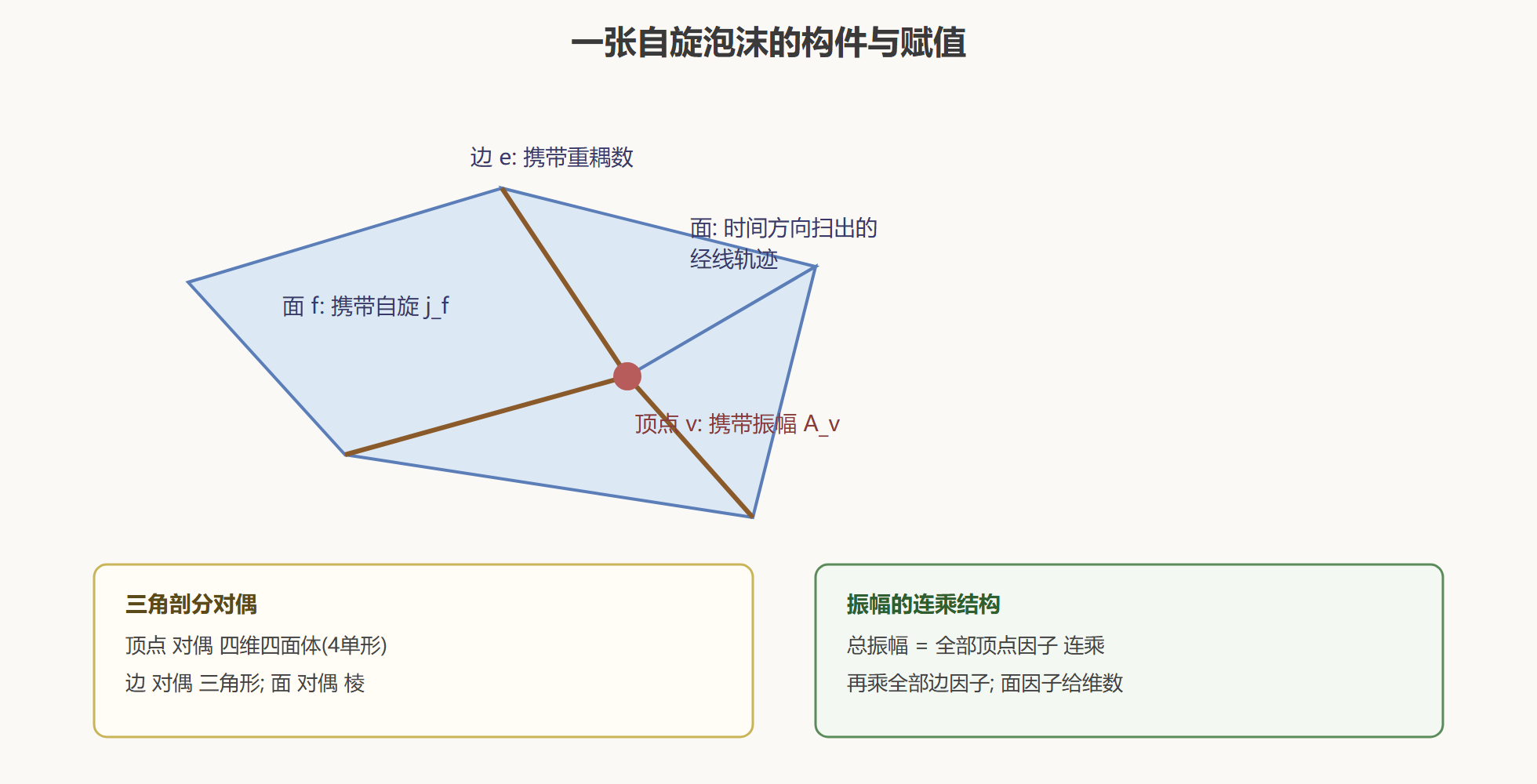 图:自旋泡沫的构件解剖