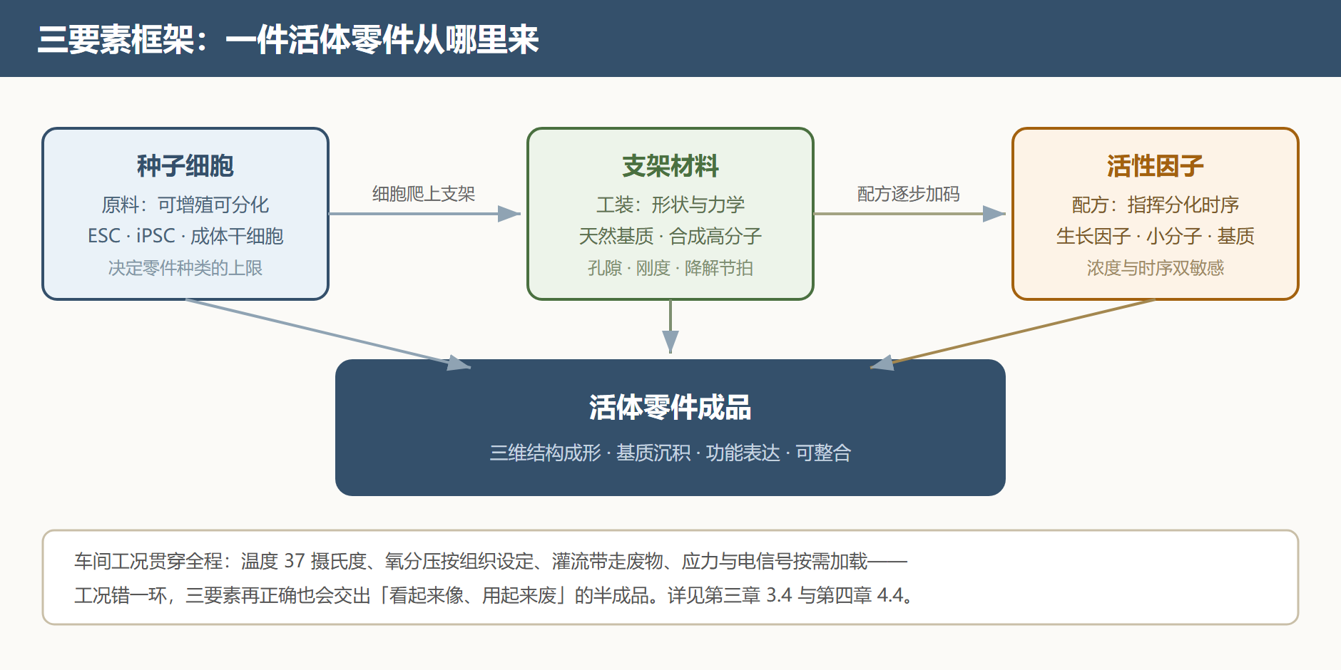 图 1-1 三要素如何拼成一件活体零件