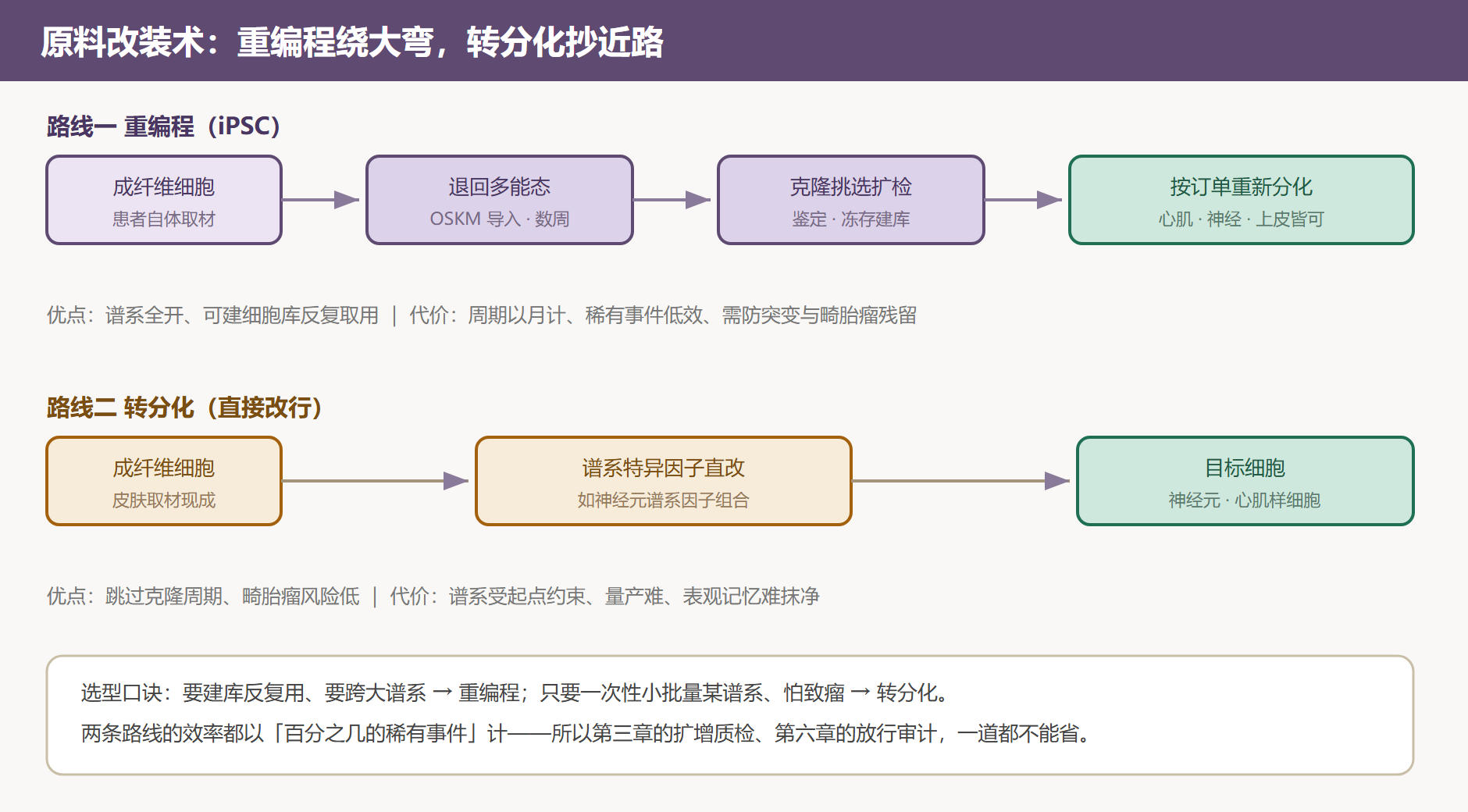 图 2-3 两条改装路线的工序对比