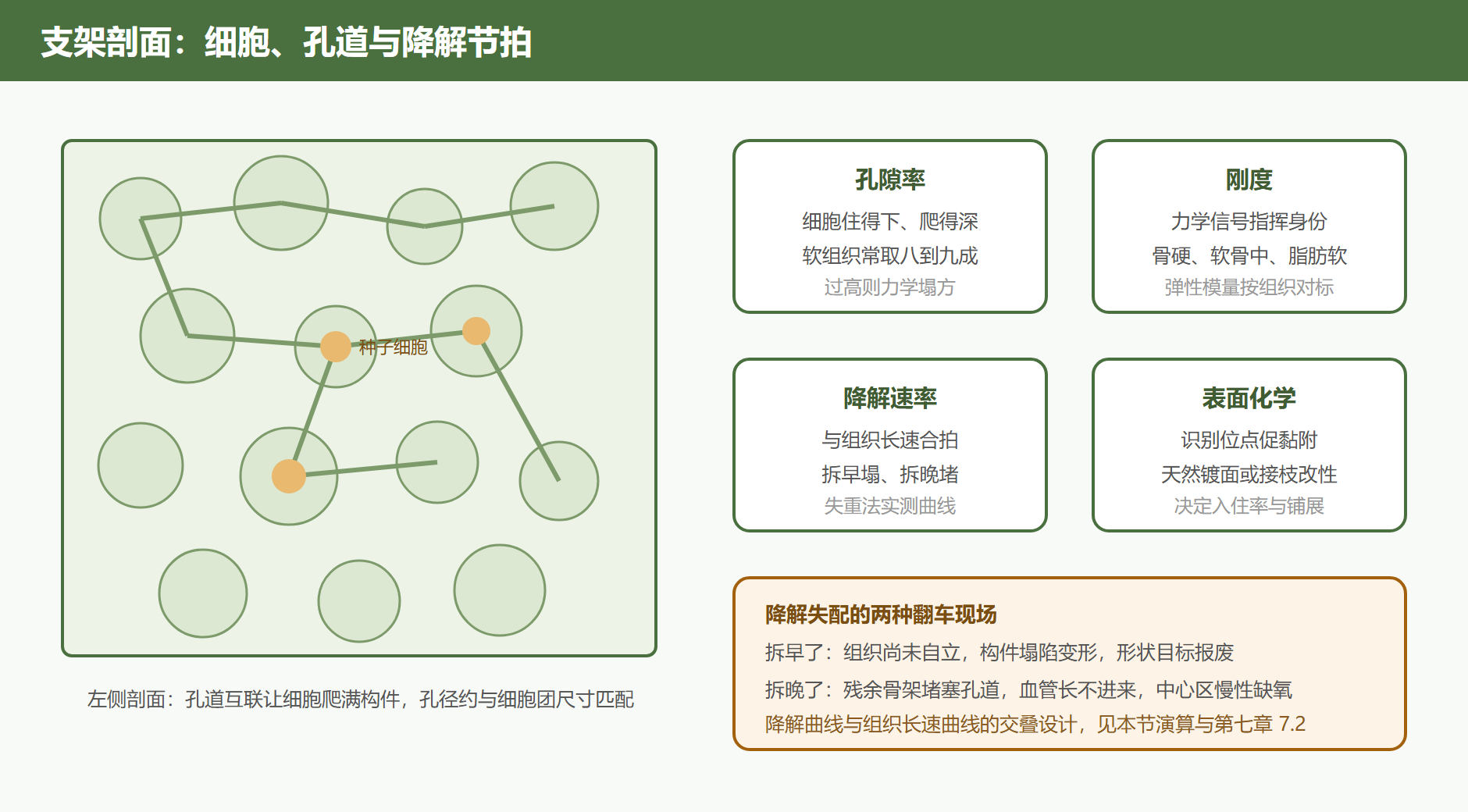 图 3-2 支架结构剖面与参数标注