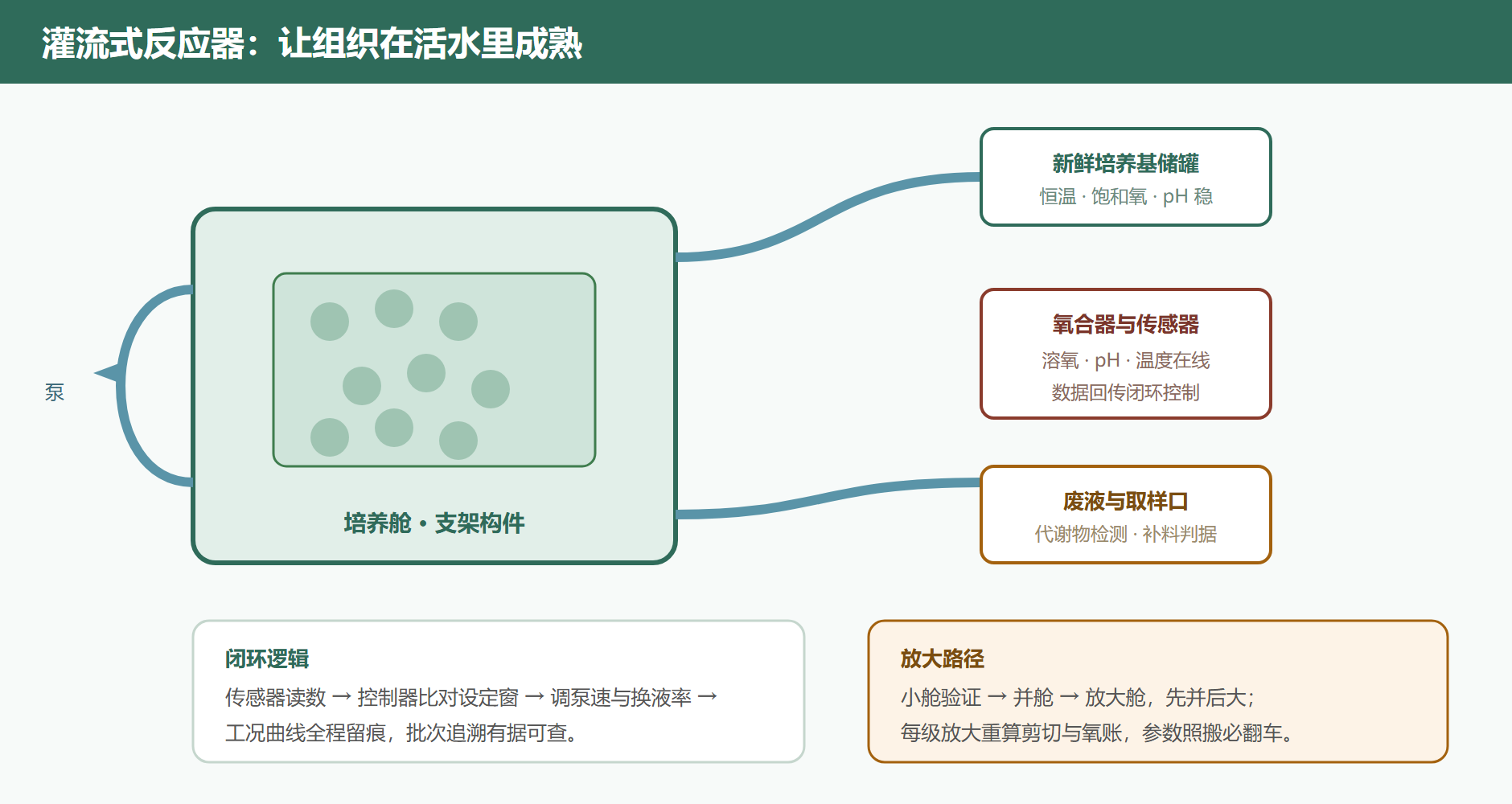 图 4-4 灌流式反应器回路与在线传感