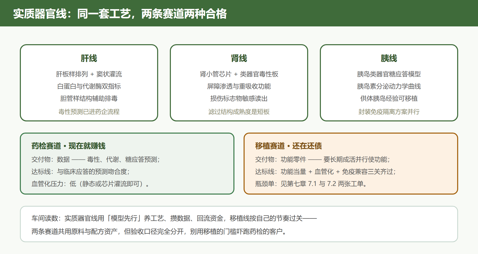 图 5-4 实质器官模型家族与双赛道分工