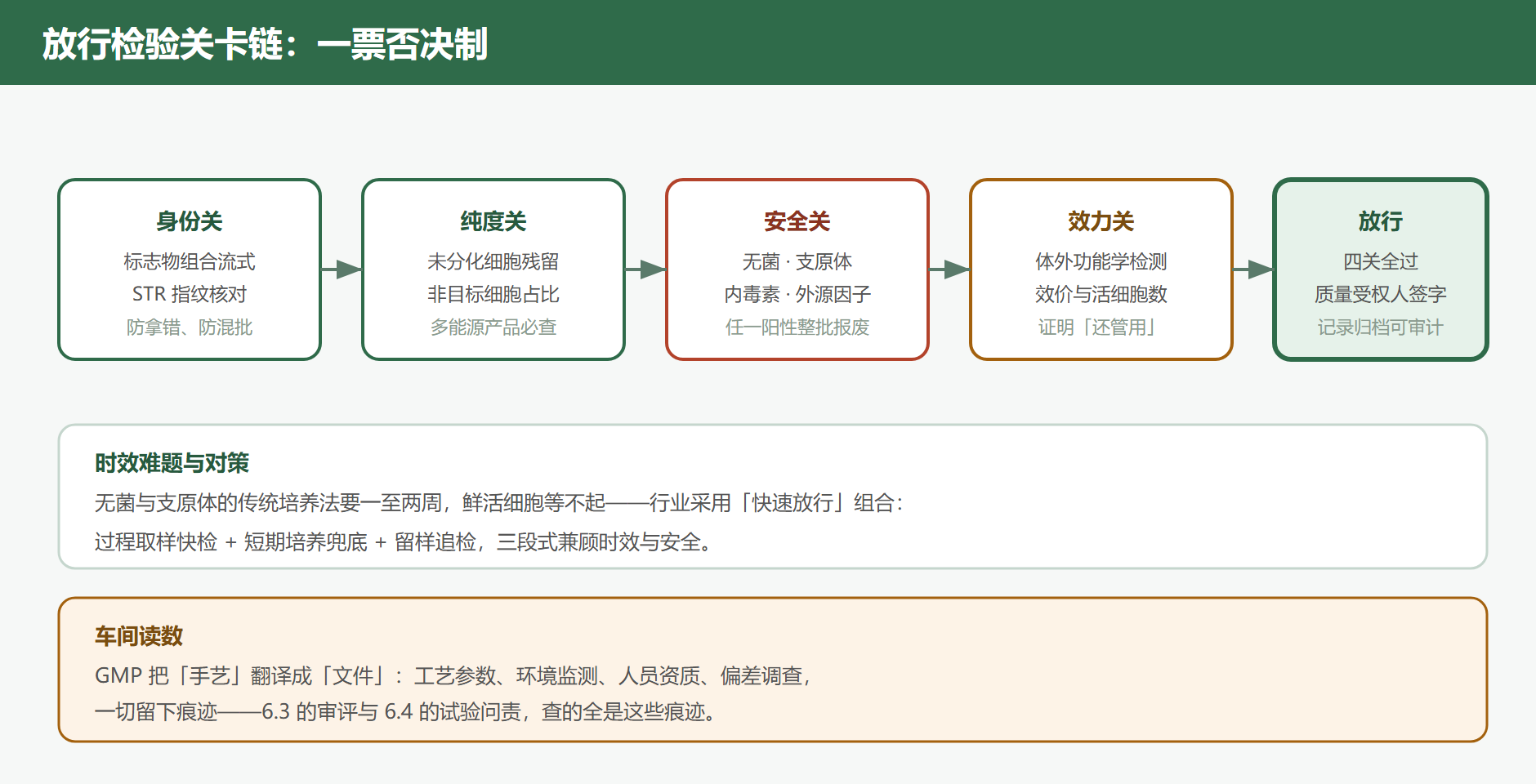 图 6-2 细胞产品放行检验的关卡链