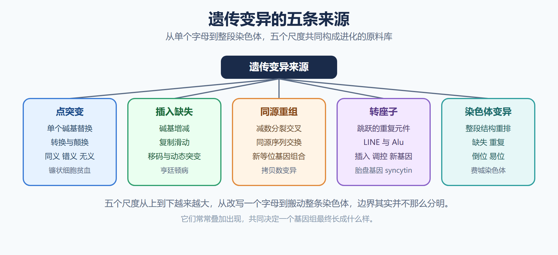 图 变异来源分类