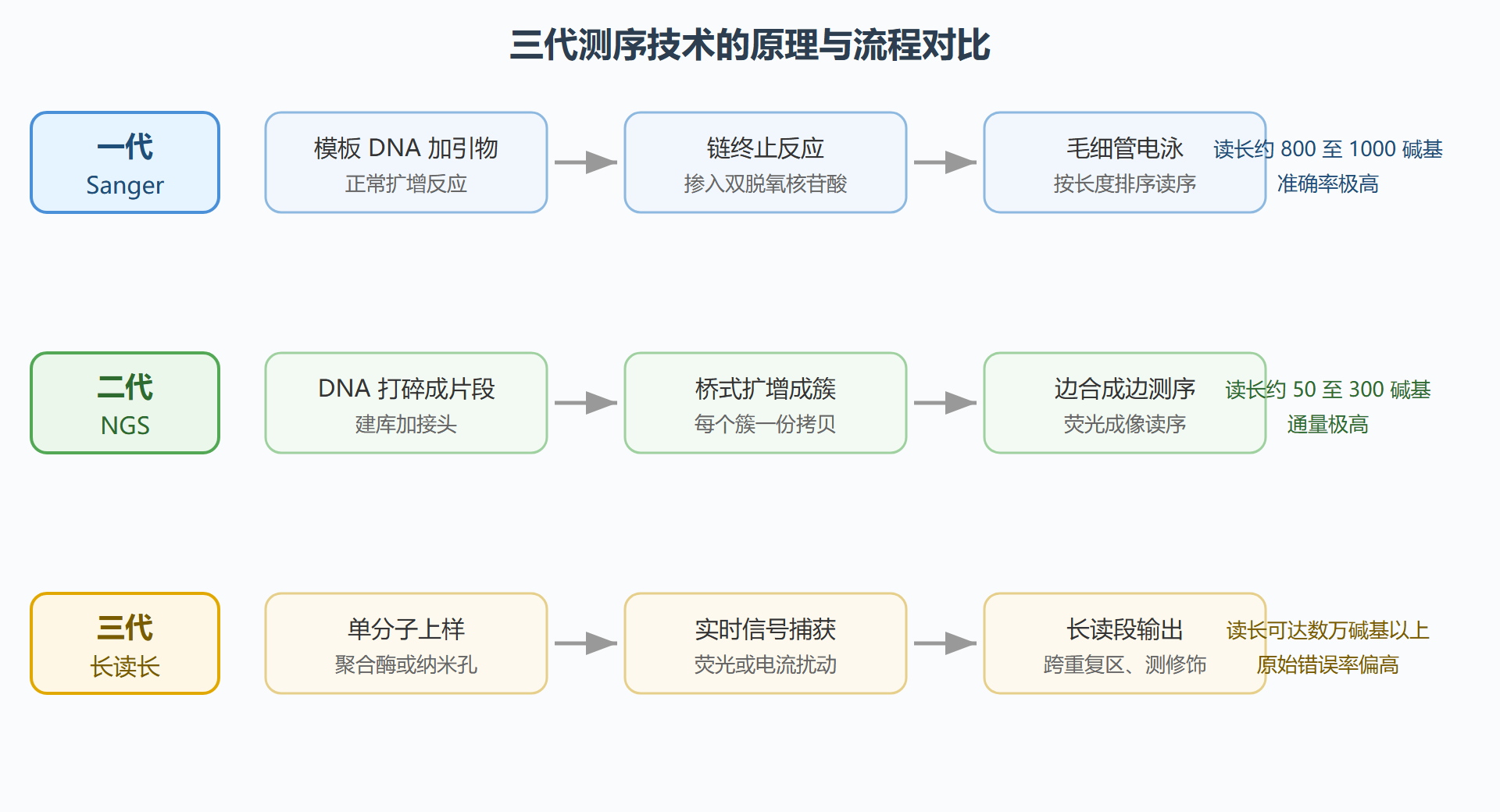 图：三代测序技术的原理与流程对比