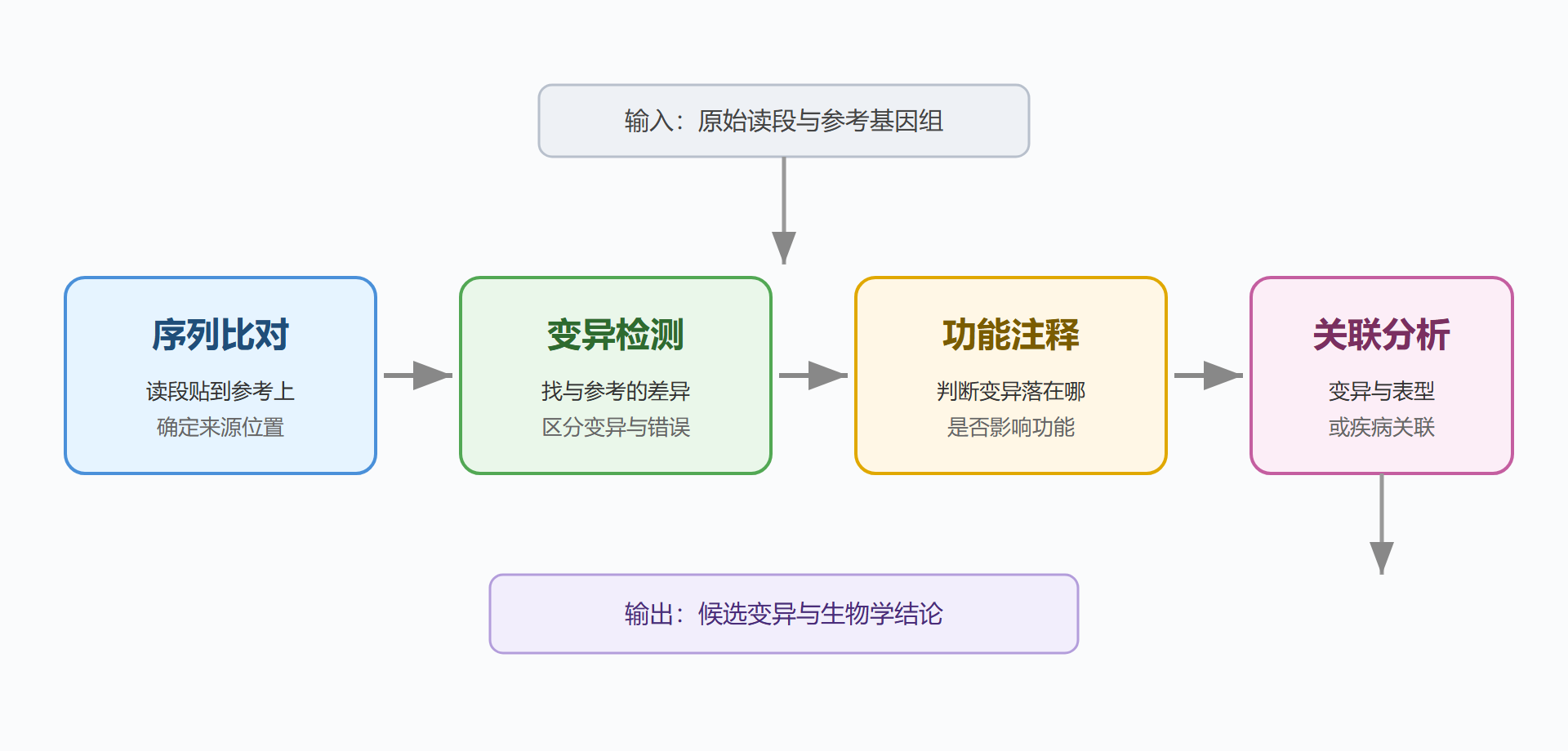 图：生物信息学分析流程