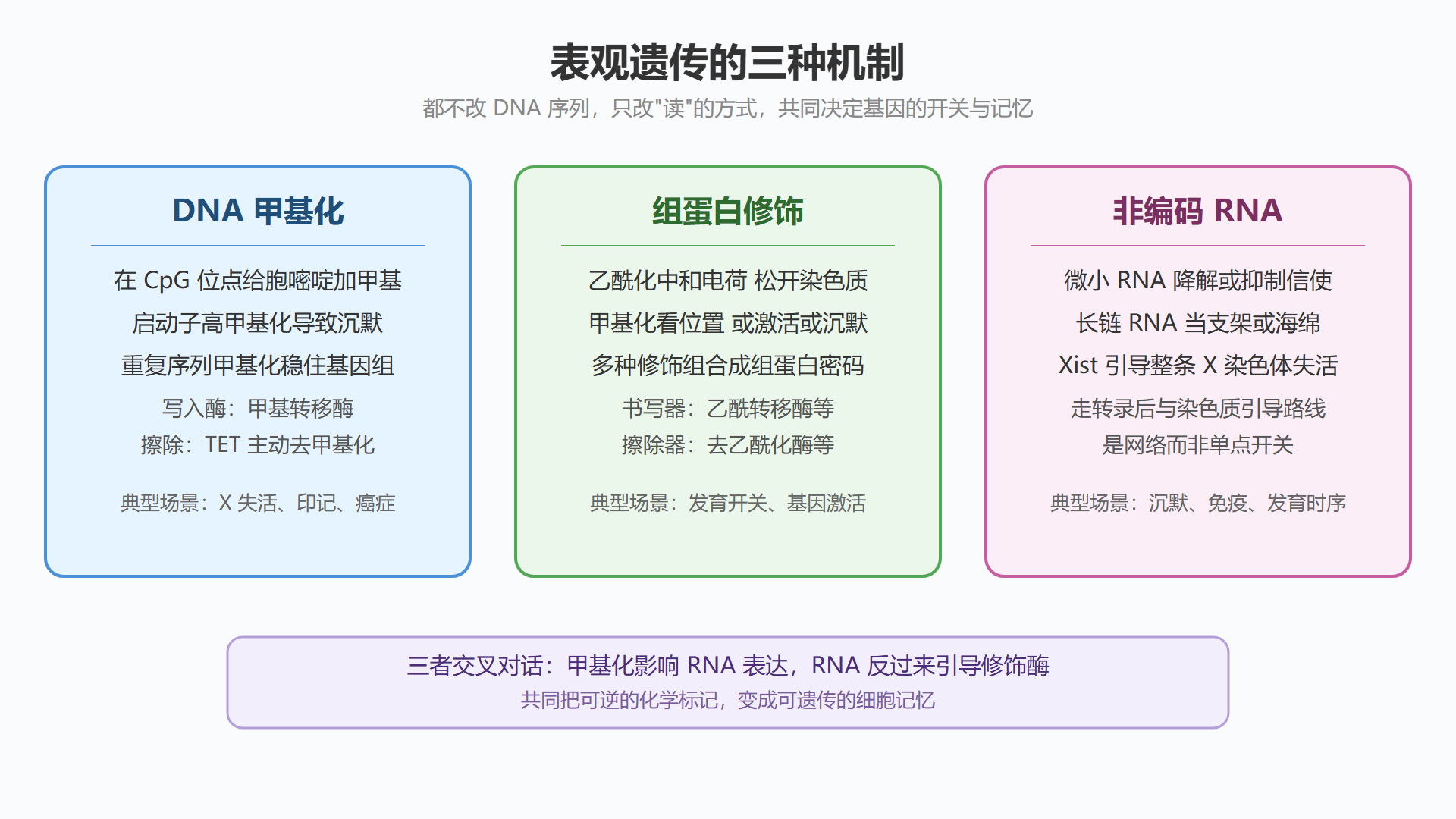 图：表观遗传机制