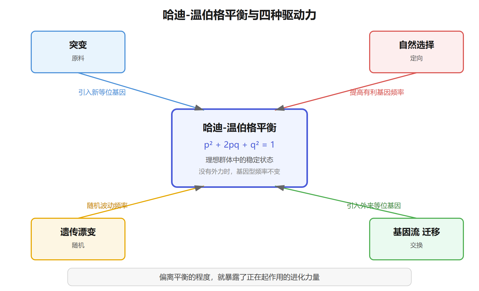 哈迪-温伯格平衡与驱动力