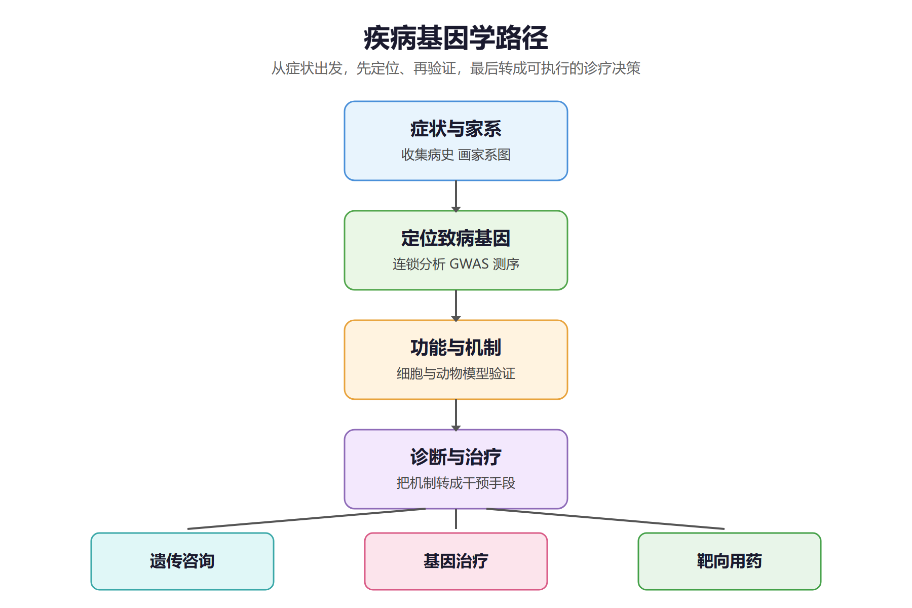 疾病基因学路径