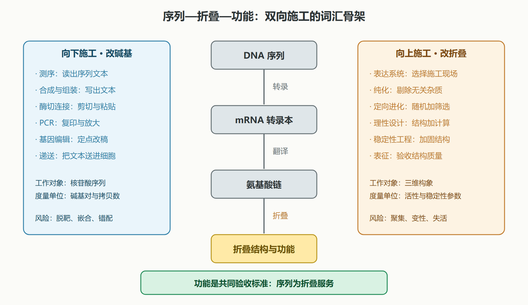 图:从碱基到折叠的双向施工概念图
