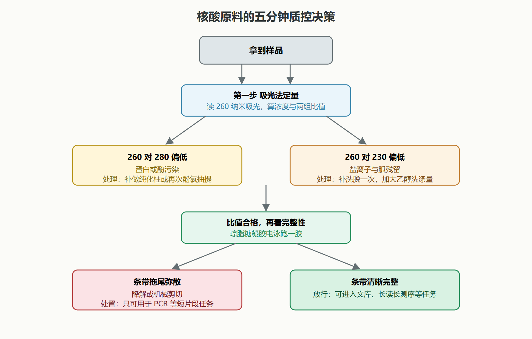 图：核酸原料质控决策流程