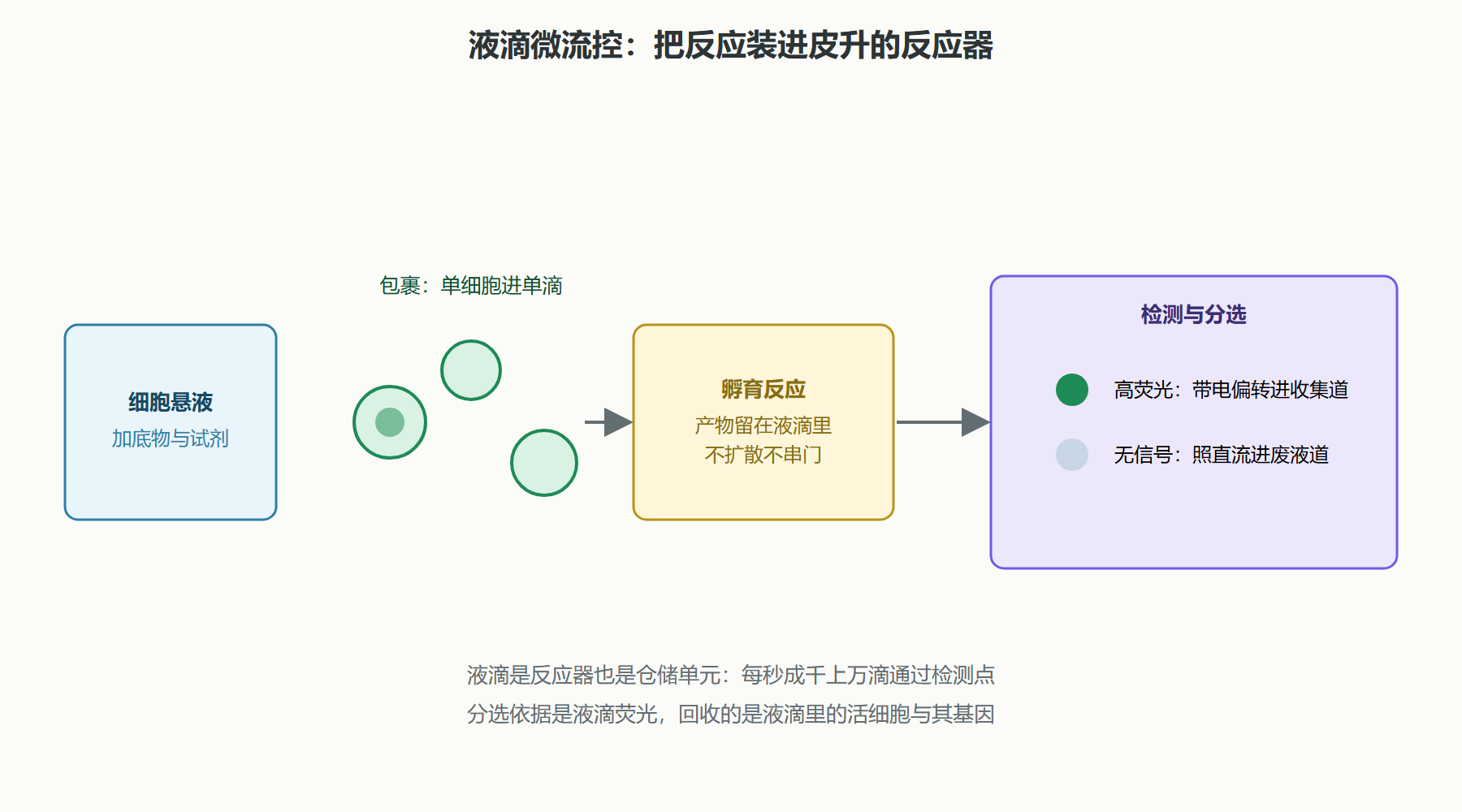 图:液滴分选的物理过程