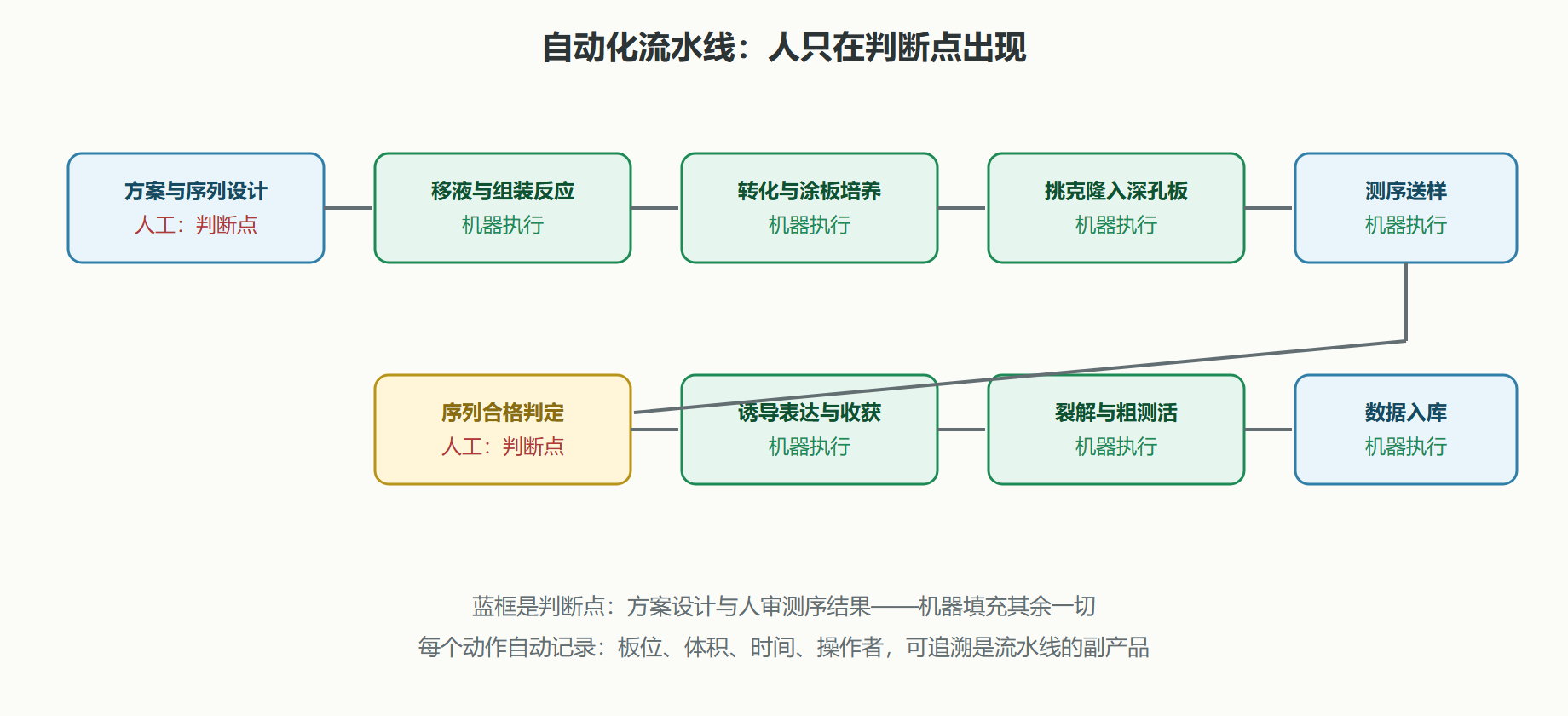 图：自动化表达克隆流水线的环节与人工介入点