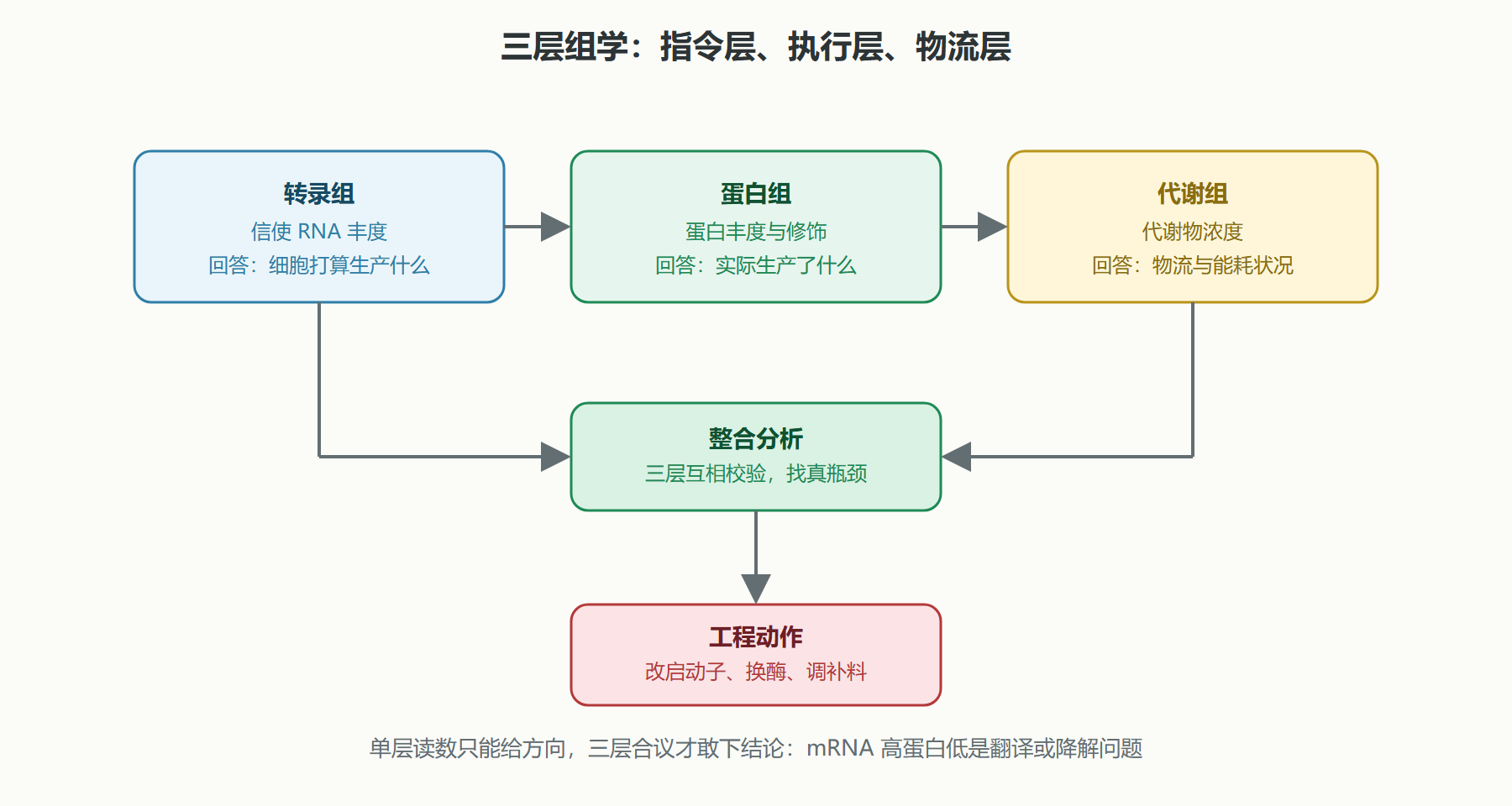 图：三层组学的数据流与整合逻辑
