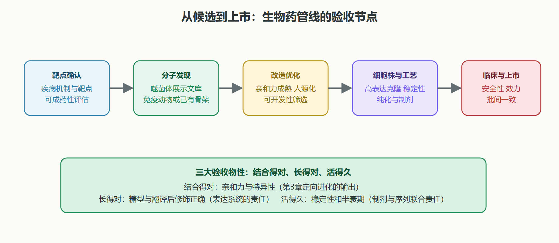 图:生物药开发管线与验收节点