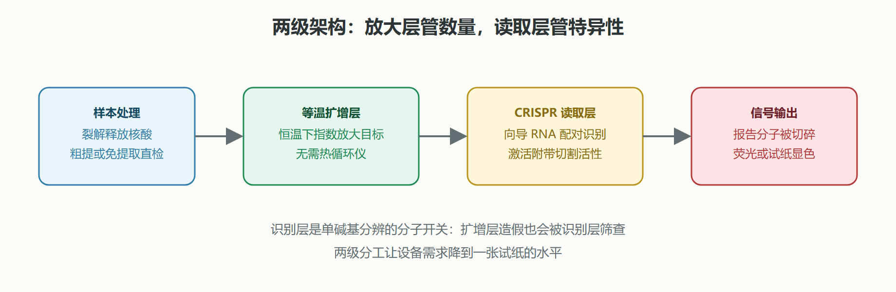 图：CRISPR 诊断的两级流水线