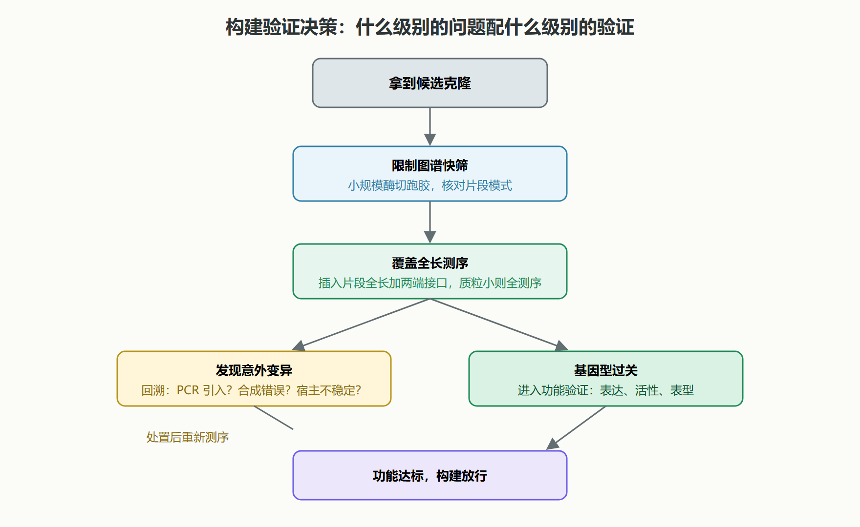 图：构建验证的决策流程