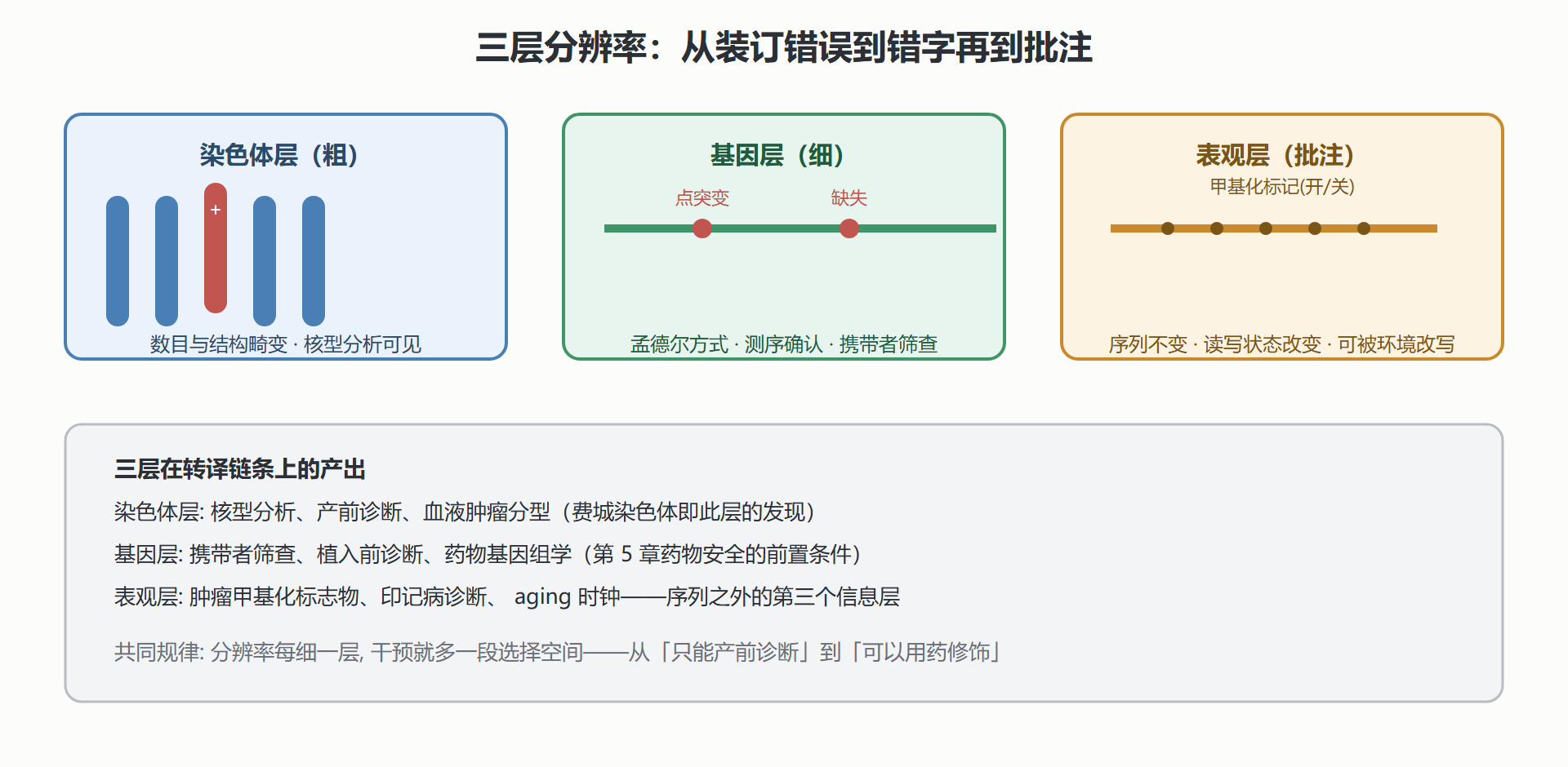 图 2-6 遗传异常的三层分辨率与表观批注