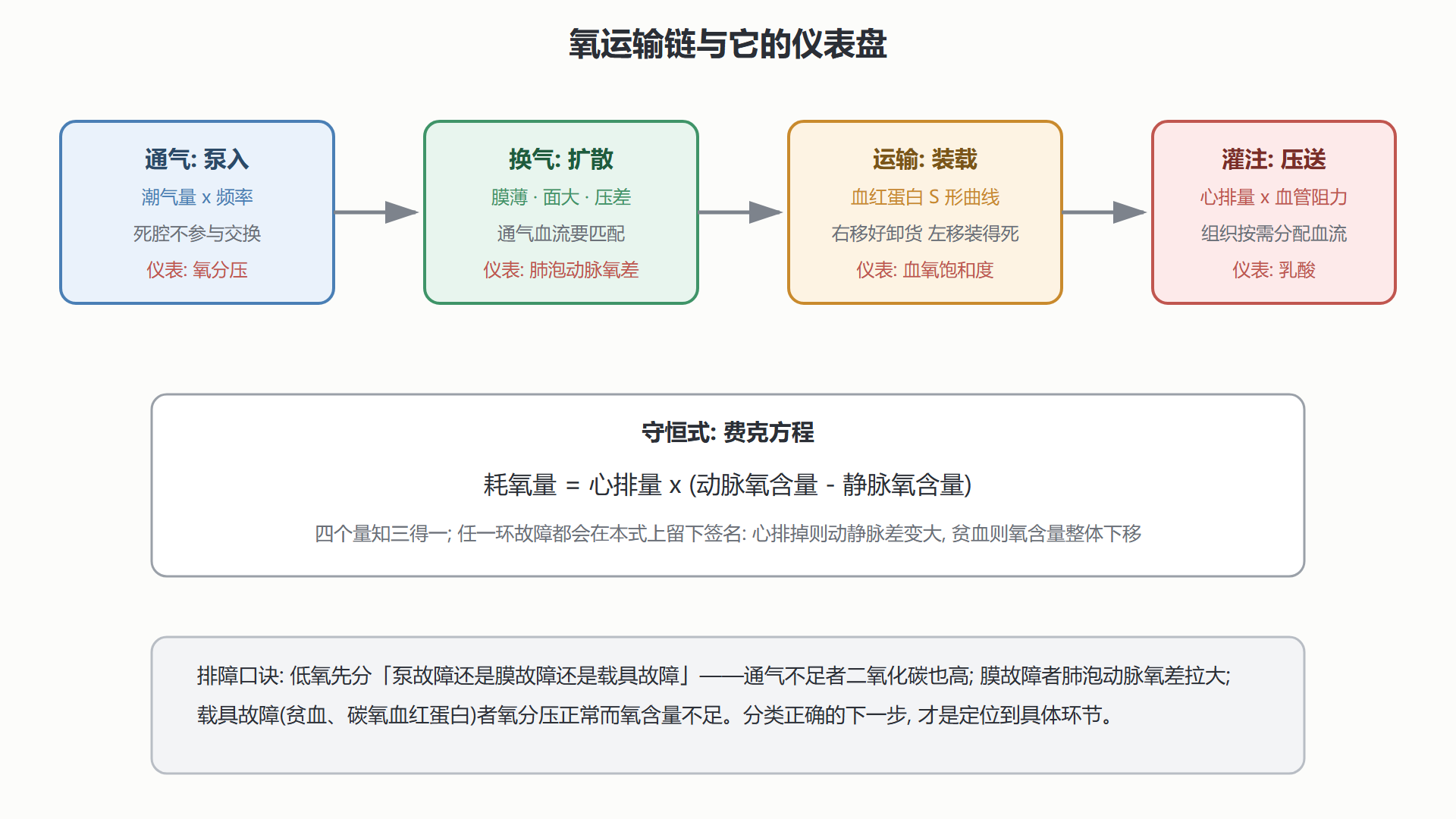 图 3-5 氧的运输链:从空气到线粒体