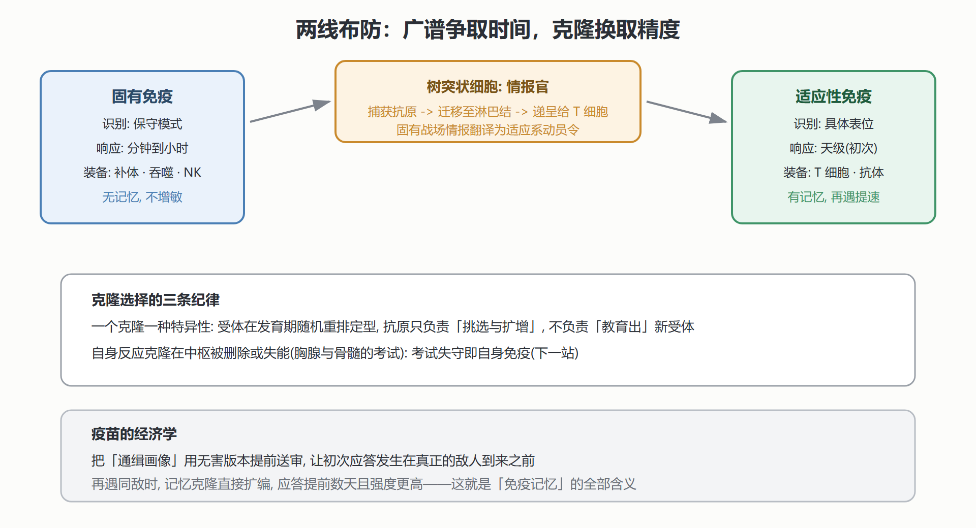 图 4-3 两线布防：从屏障哨兵到克隆主力
