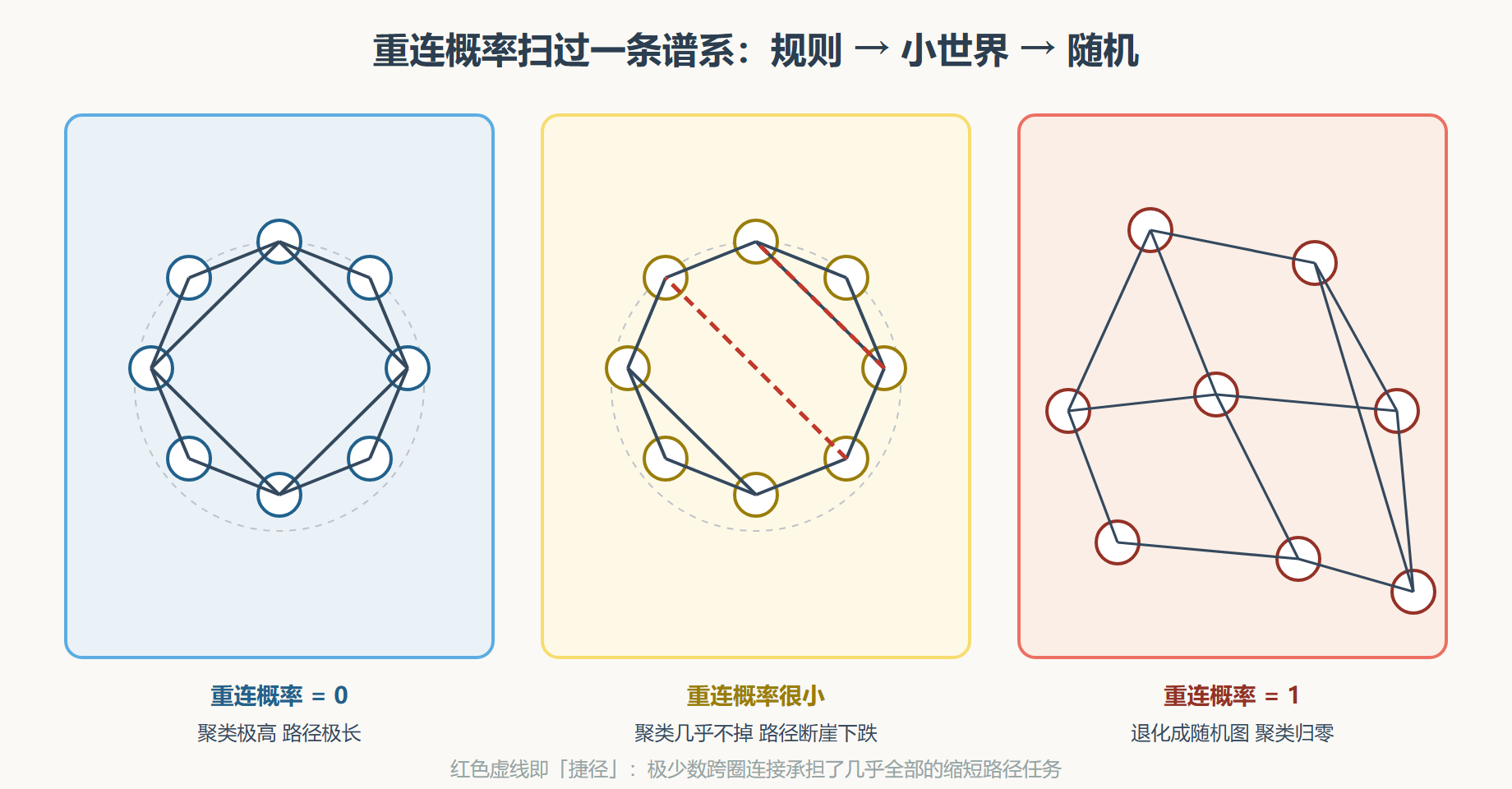 图 WS模型三联画:从规则到随机的连续谱