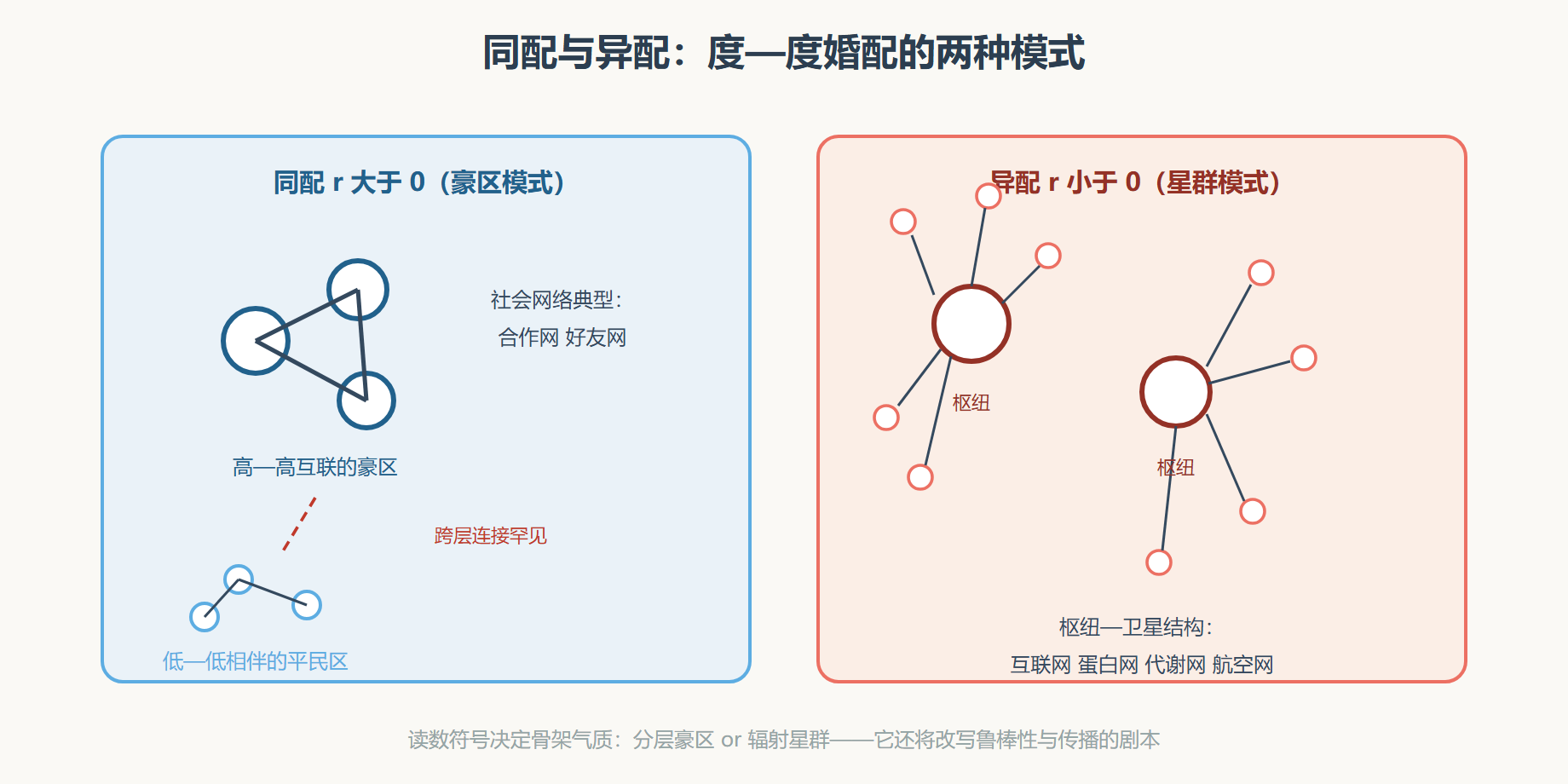图 同配与异配:两种婚配结构