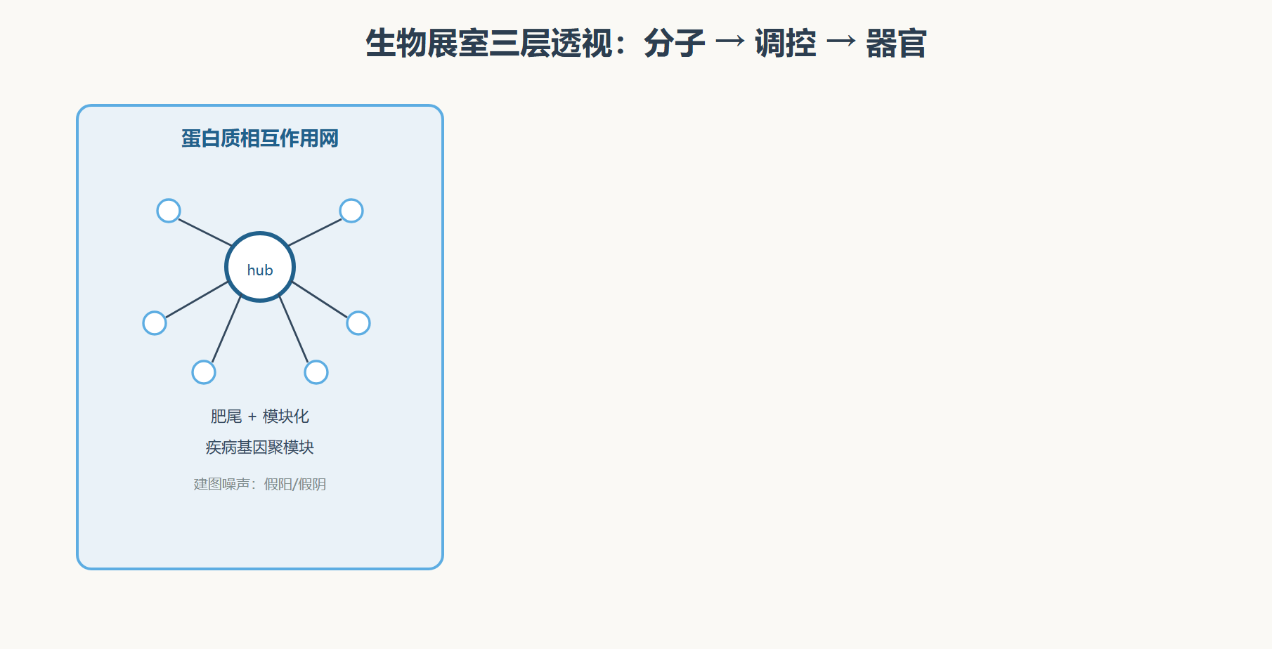 图 生物网络三层透视