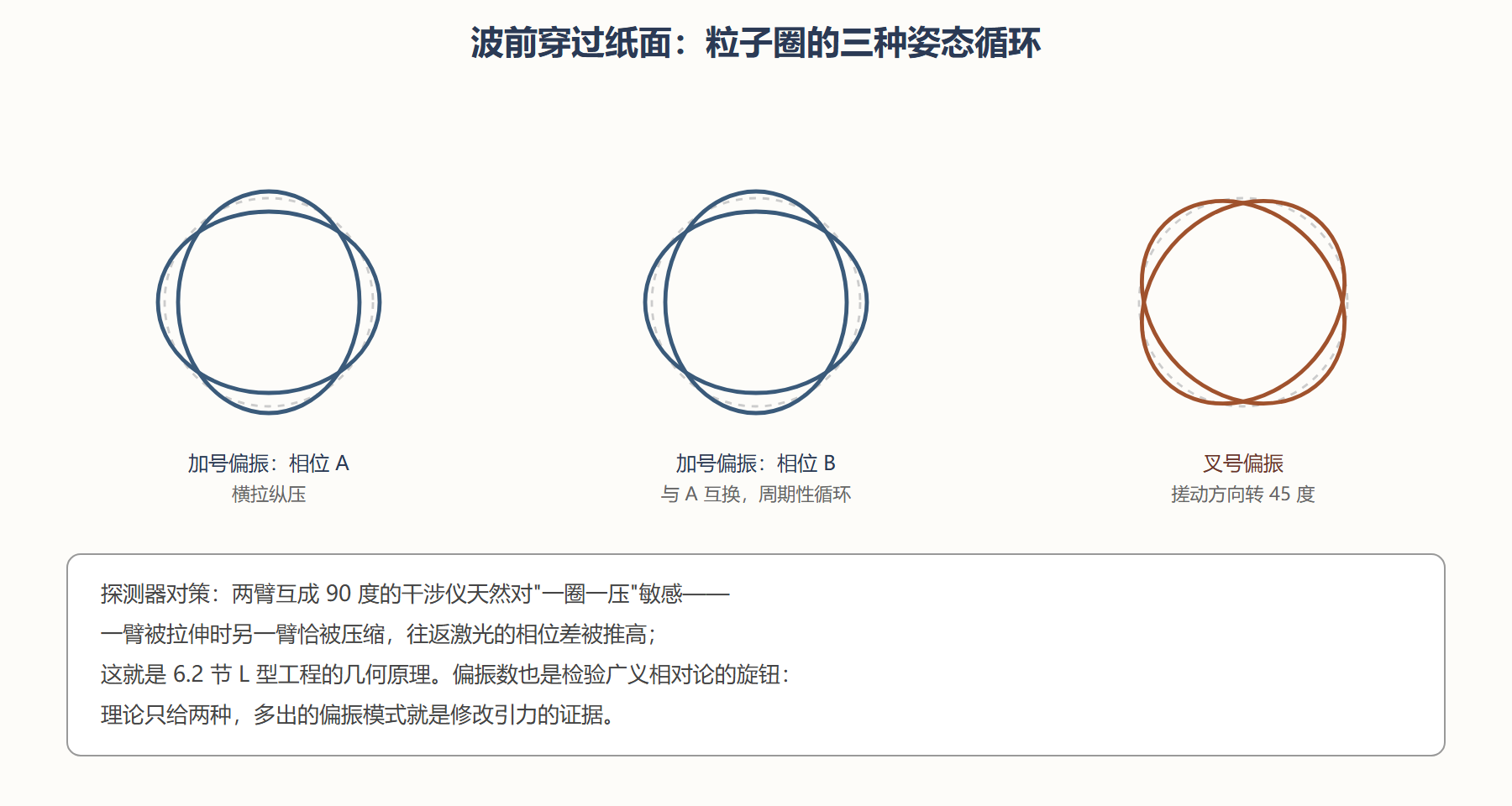 图 6-1 引力波的两种偏振:测试粒子圆圈的呼吸