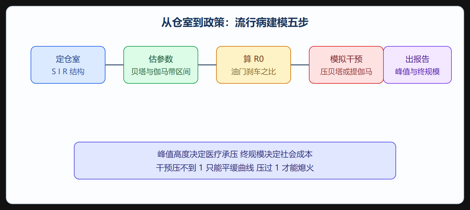 传染病建模工作流