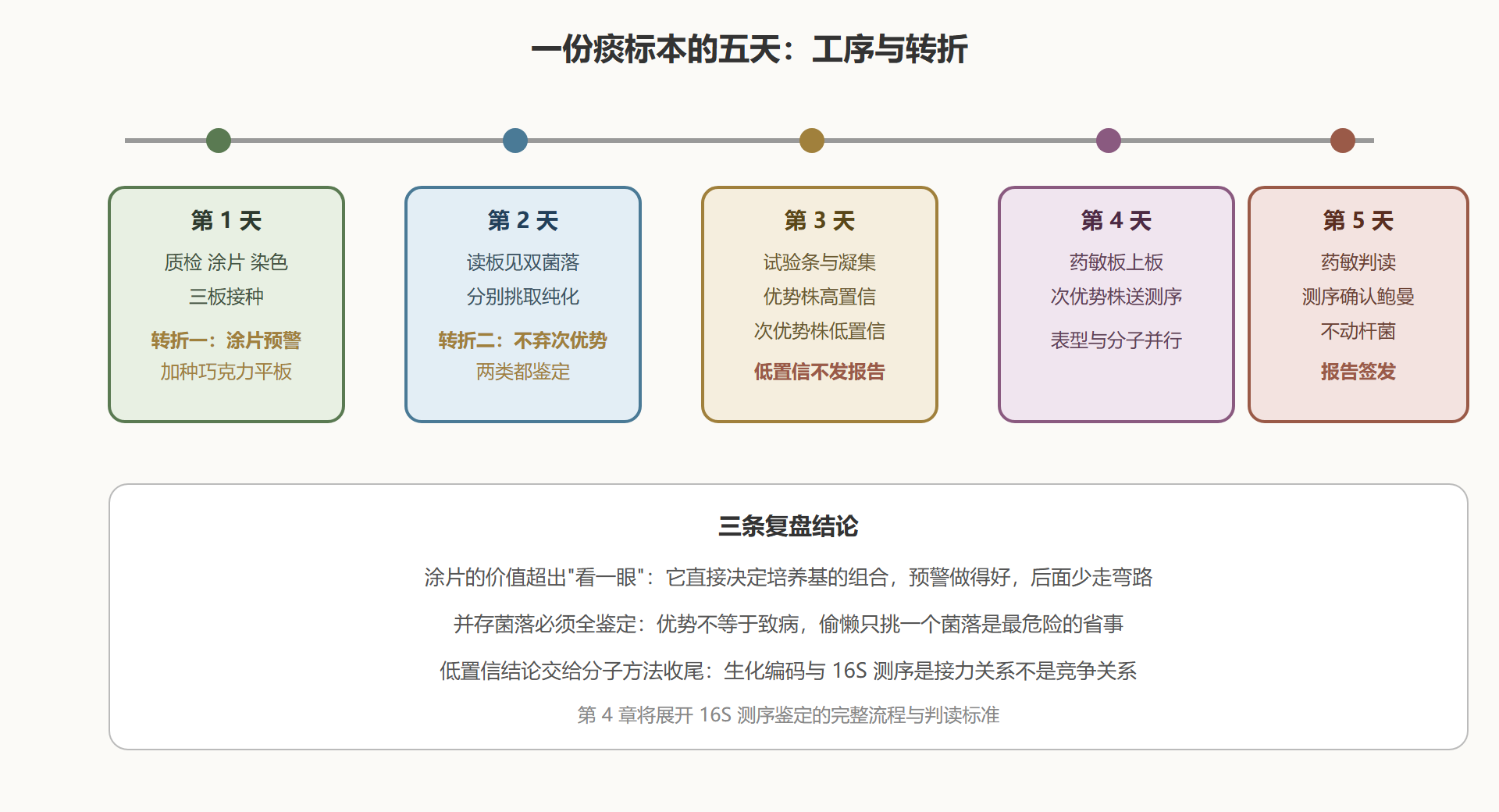 图 1 五天检测全景时间轴